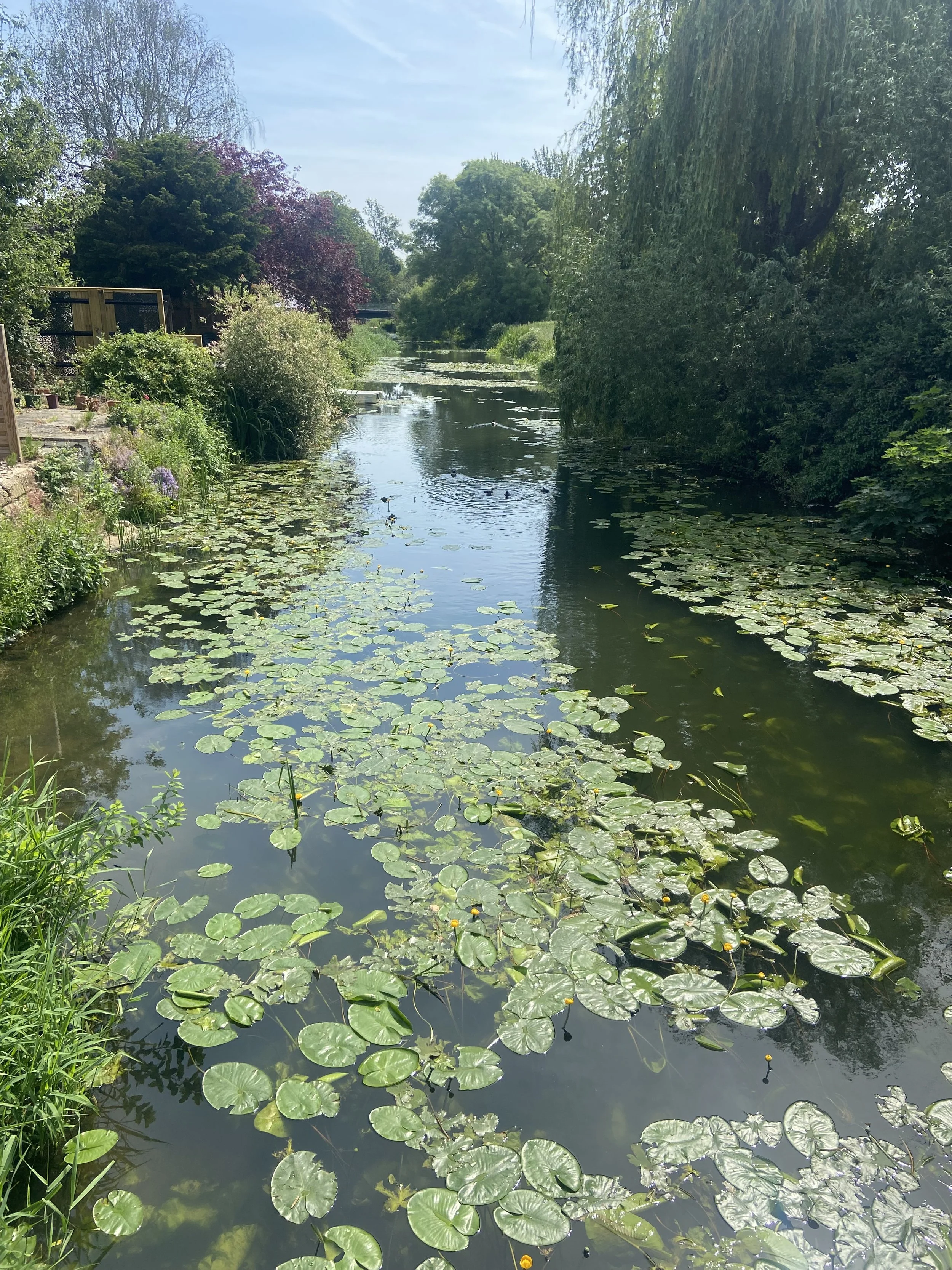 IMG_6522.jpeg