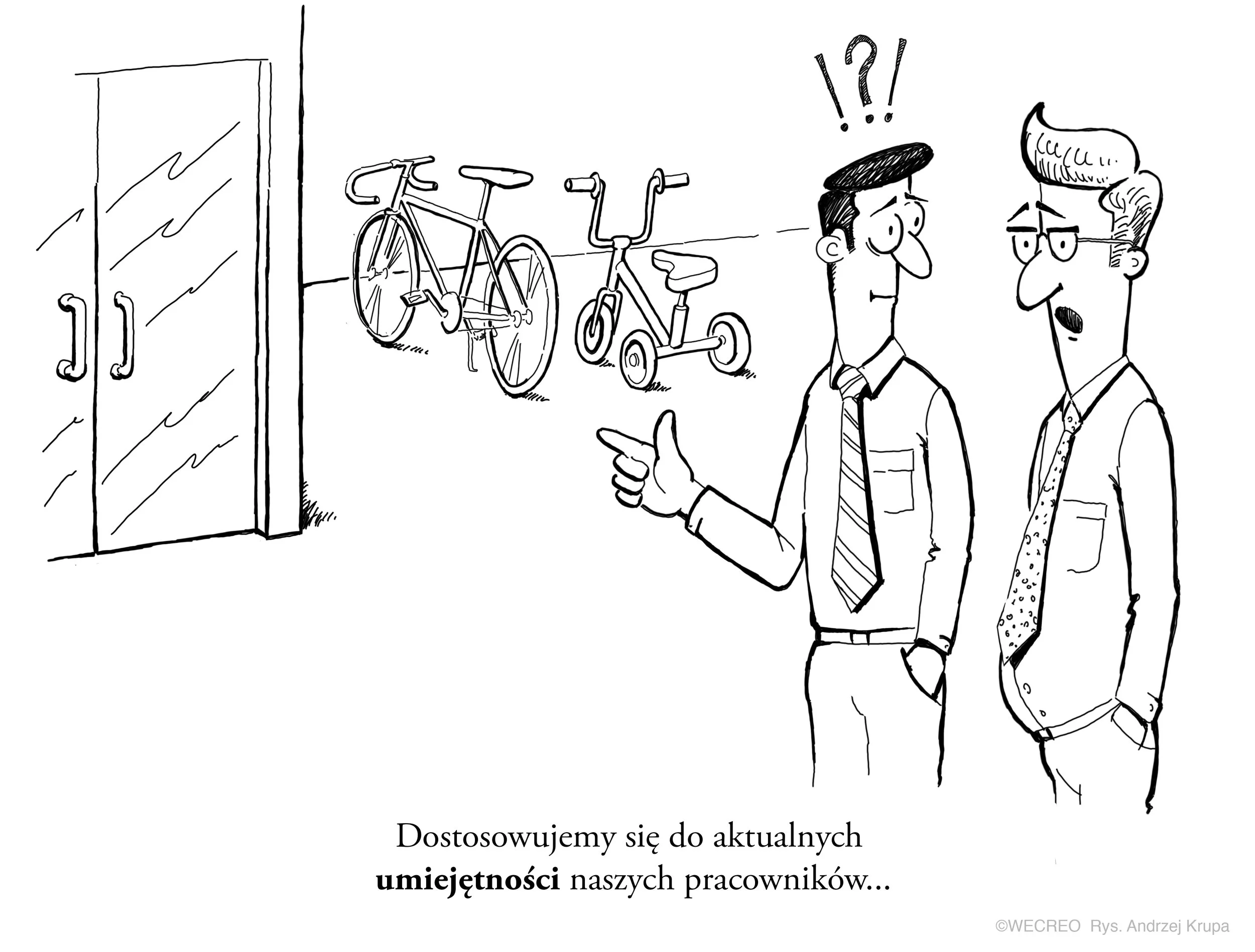 programy szkoleniowe.jpg