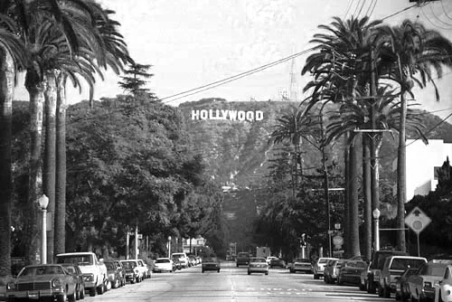 z0133-hollywood-sign-street-view.jpg