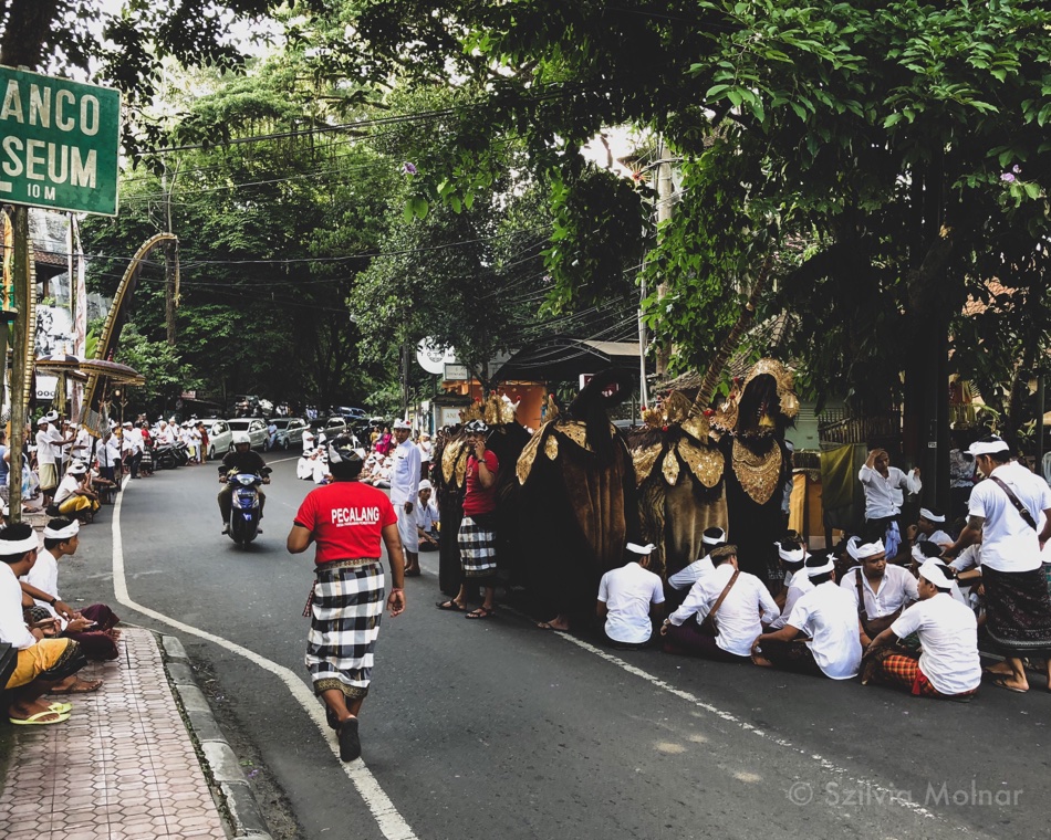file-FCD50CF4-3035-4210-917A-77006D0721D9-715-0000009A4C8FE3E3.jpeg