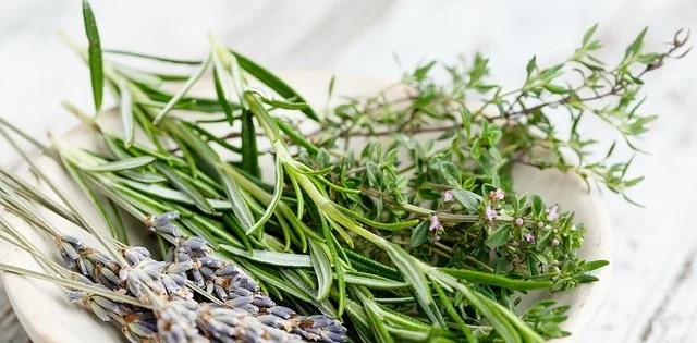 herbs-2523119_640.jpg