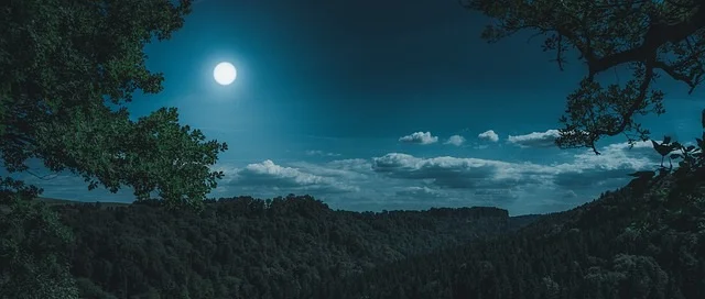 nature-3194001_640.jpg