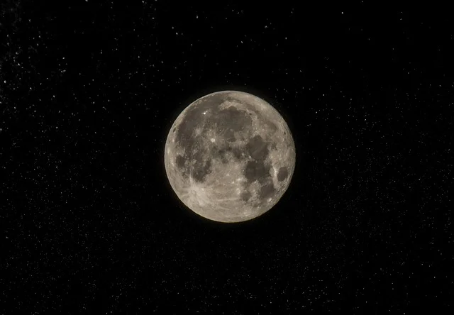 black-2179003_640.jpg