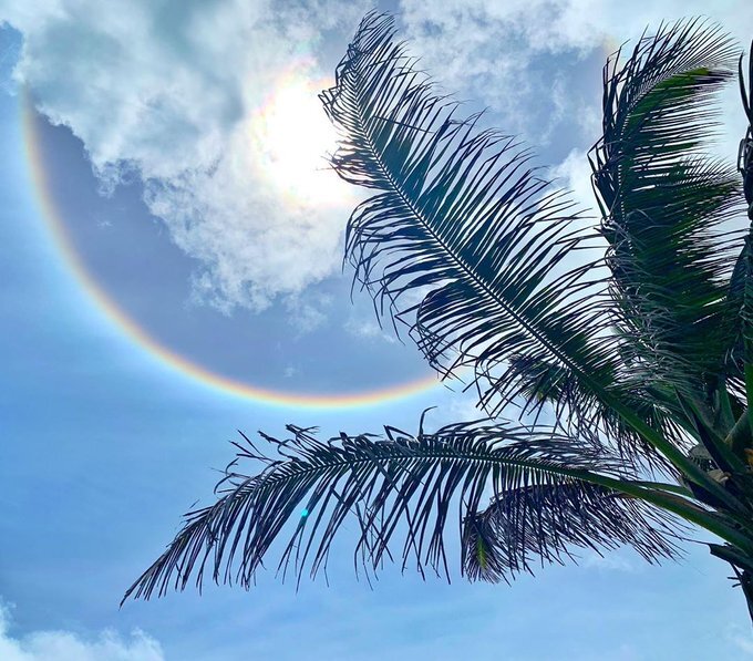 Presagios Halo Solar Visto En Venezuela El 5 De Abril 2020 Encuentro De Luz Mundo Holistico