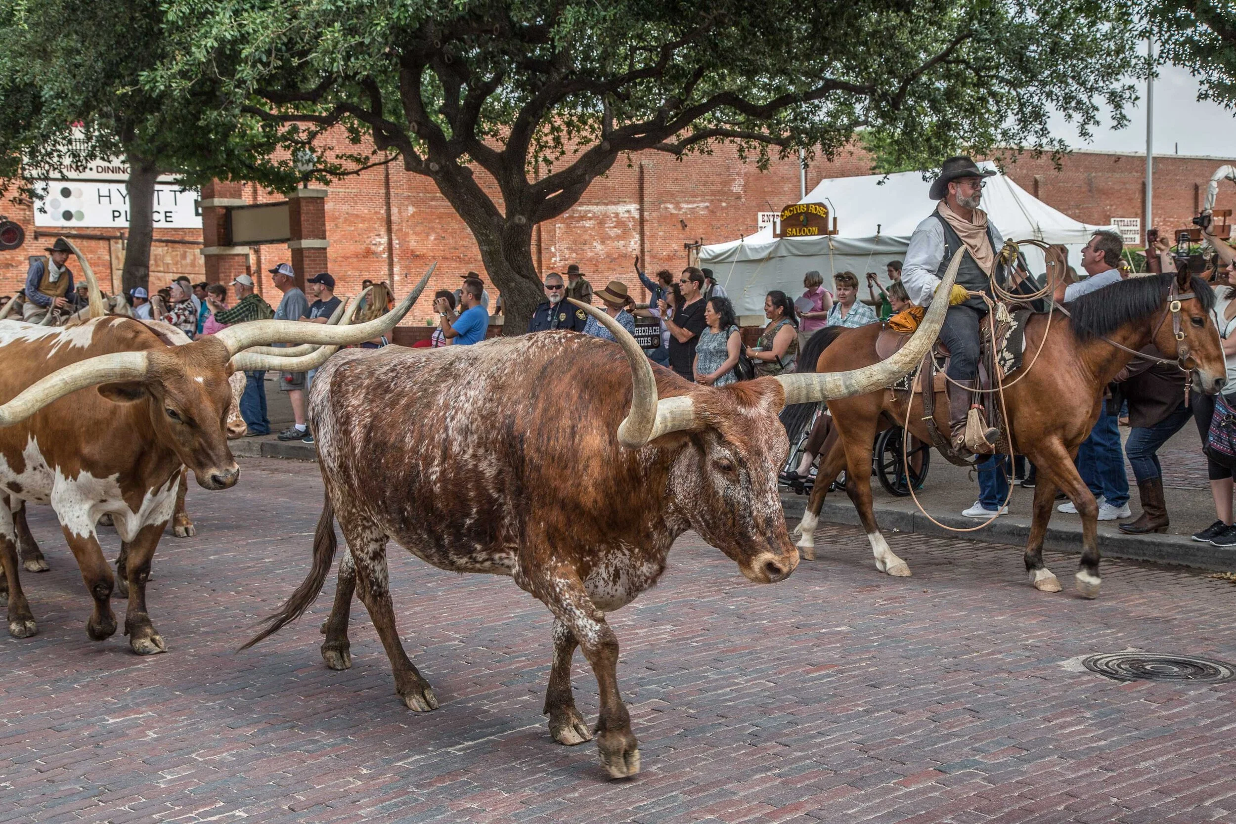 Stockyards_VO_9992.jpeg