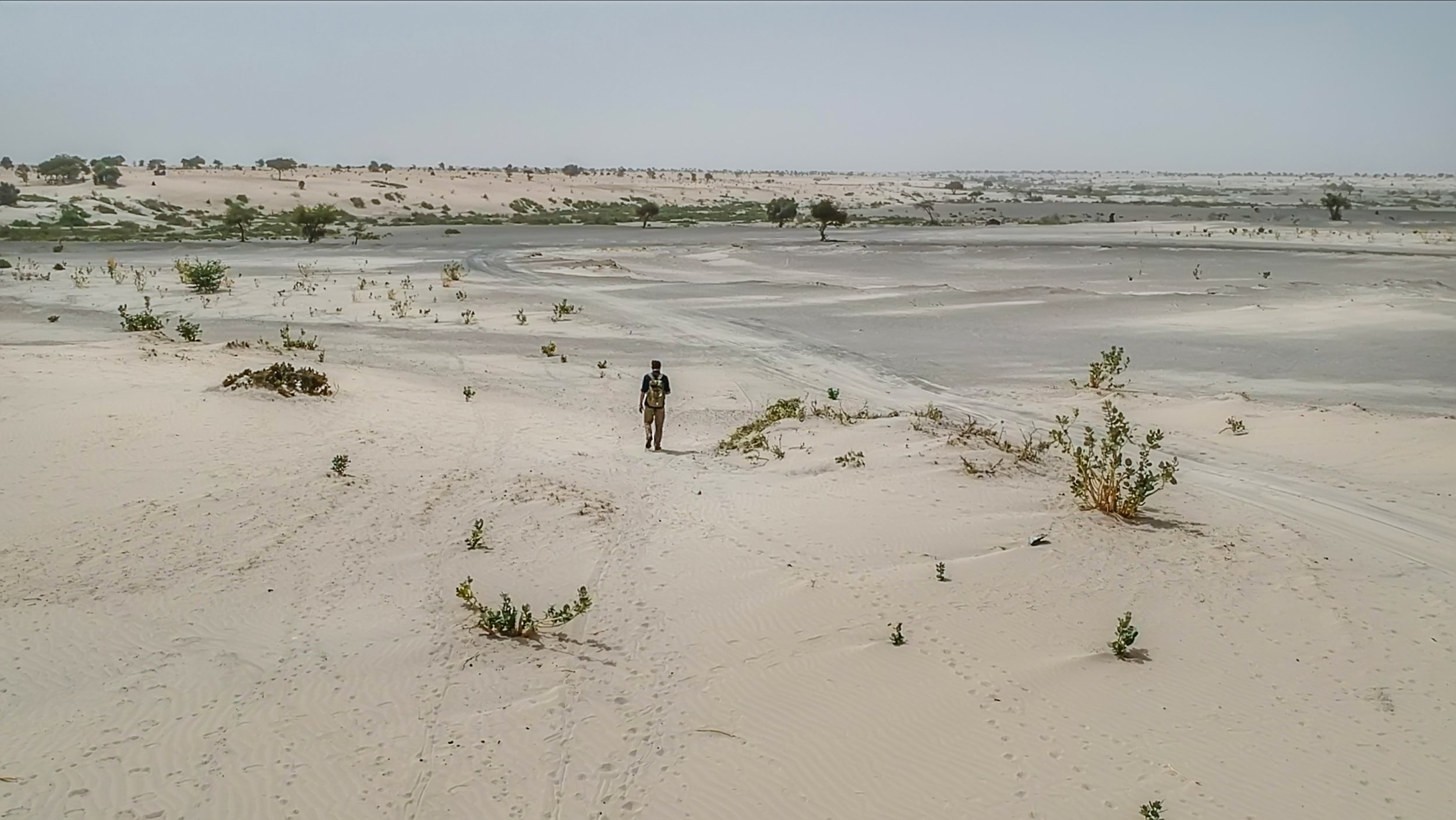 Bare desert around lake Chad  (1).jpg