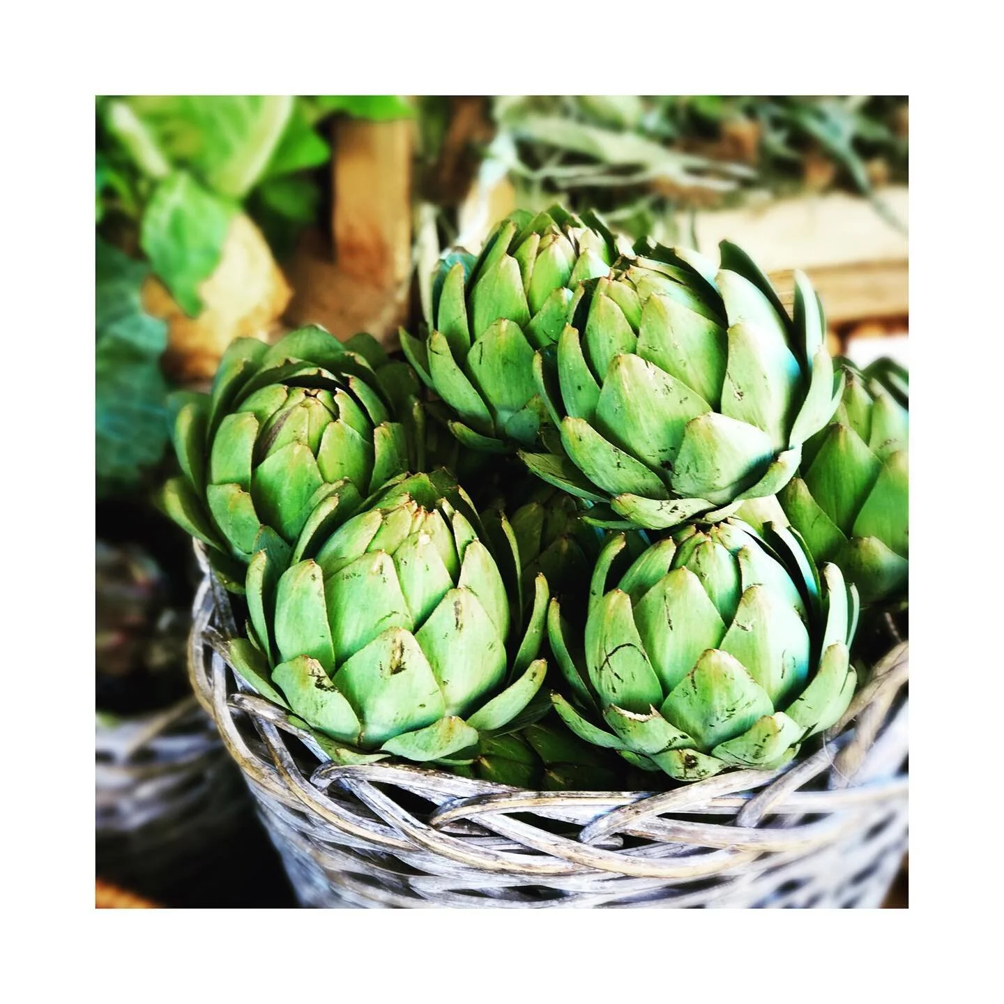 Did you know that daily consumption of 800g of fruits and vegetables is associated with: 
 🌱
28% reduced risk of cardiovascular disease 
24% reduced risk of cardiac disease 
33% reduced risk of stroke 
13% reduced risk of cancer 
31% reduced risk of