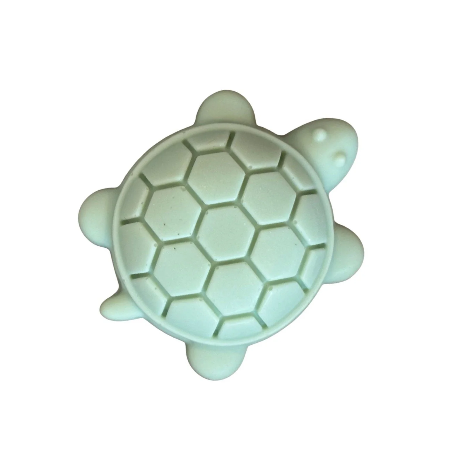 turtle1.jpg