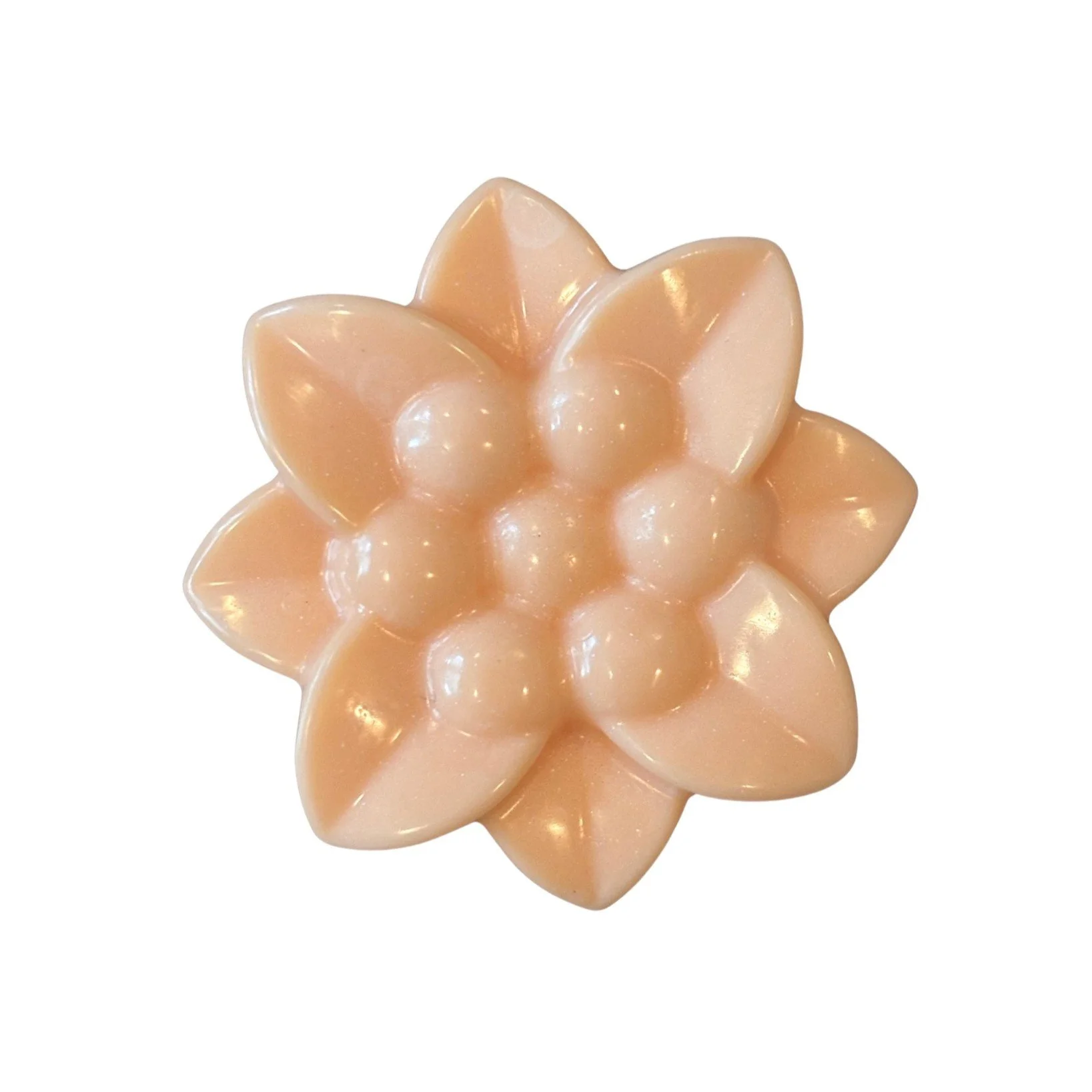 Mother's Day Flowers - Pick your favorite variation in check-out!