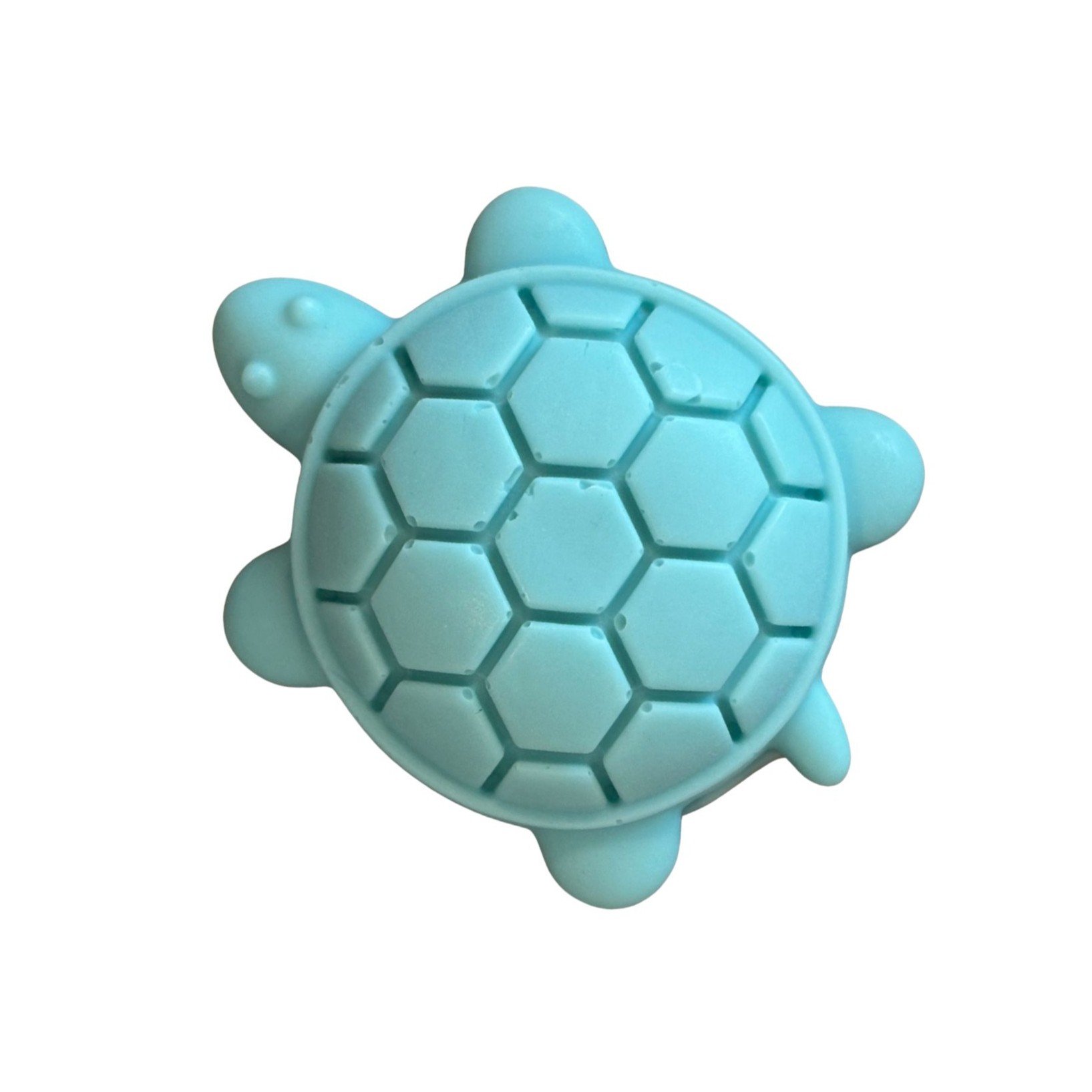 Turtle2.jpg