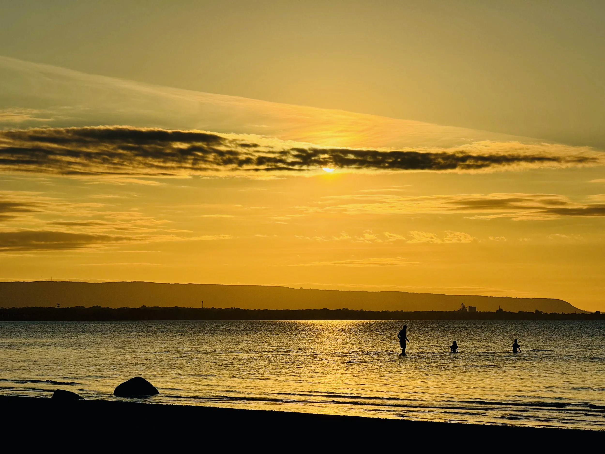 Spider Jaxon - 1.jpeg