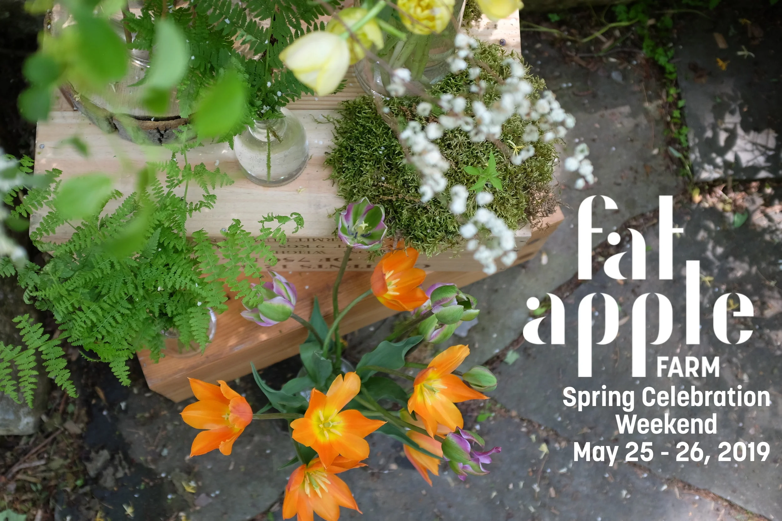 FAF Spring 2019 Event Graphic.jpg
