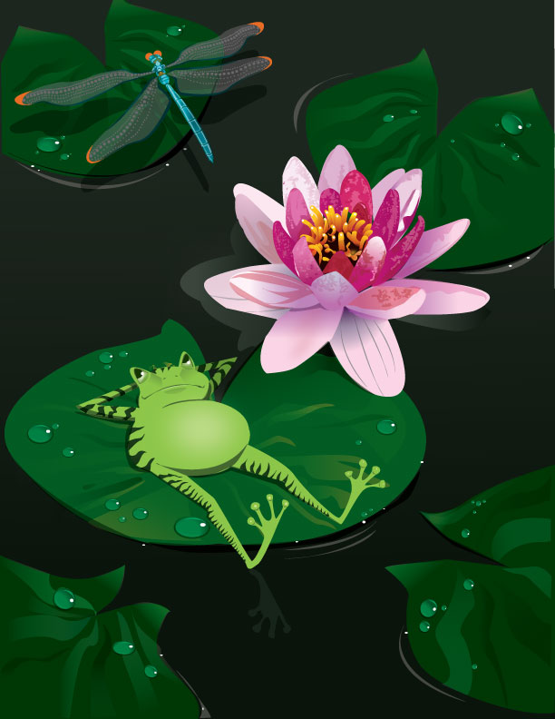 TRANQUIL.jpg