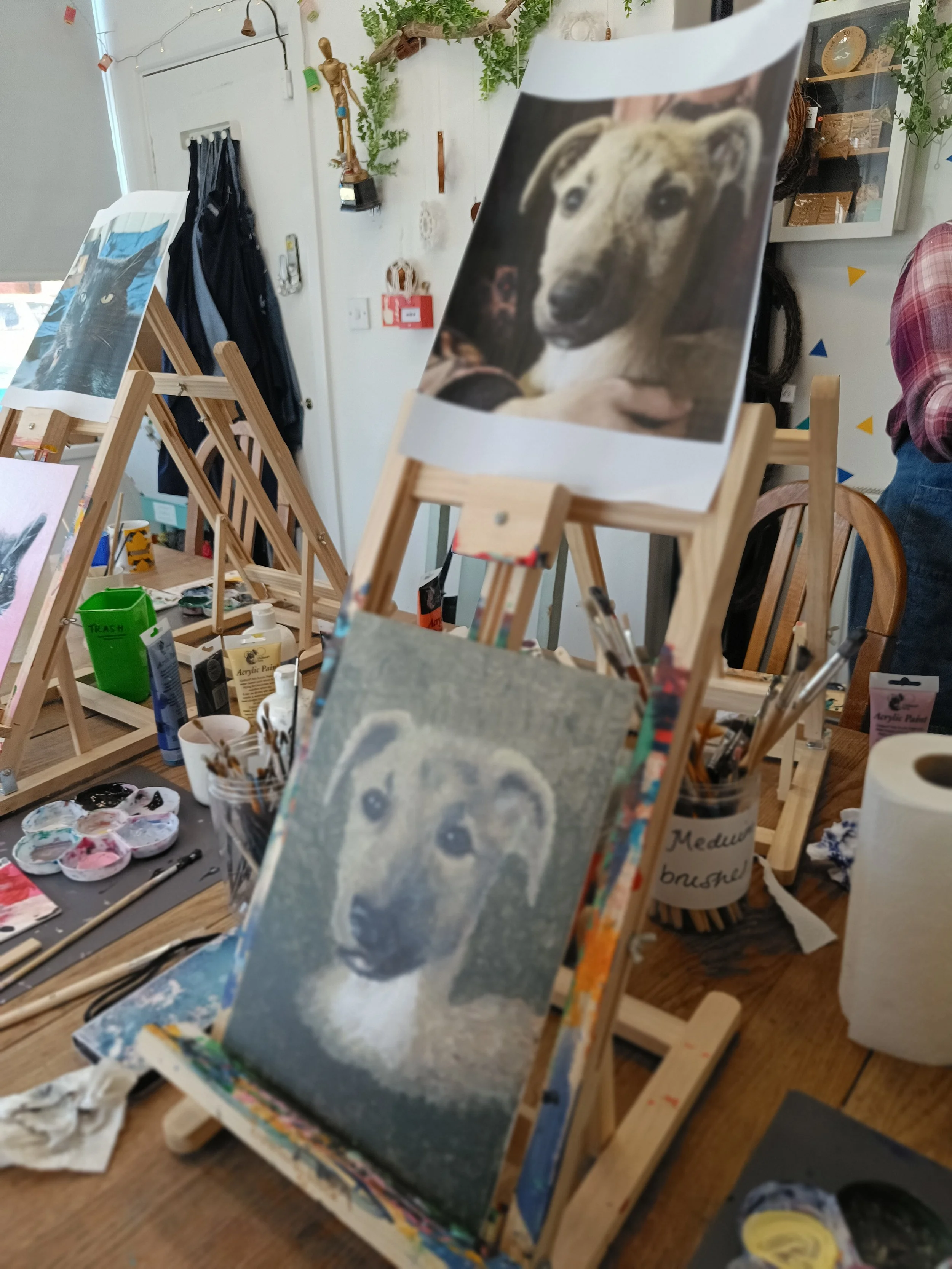 IMG20250320130812.jpg