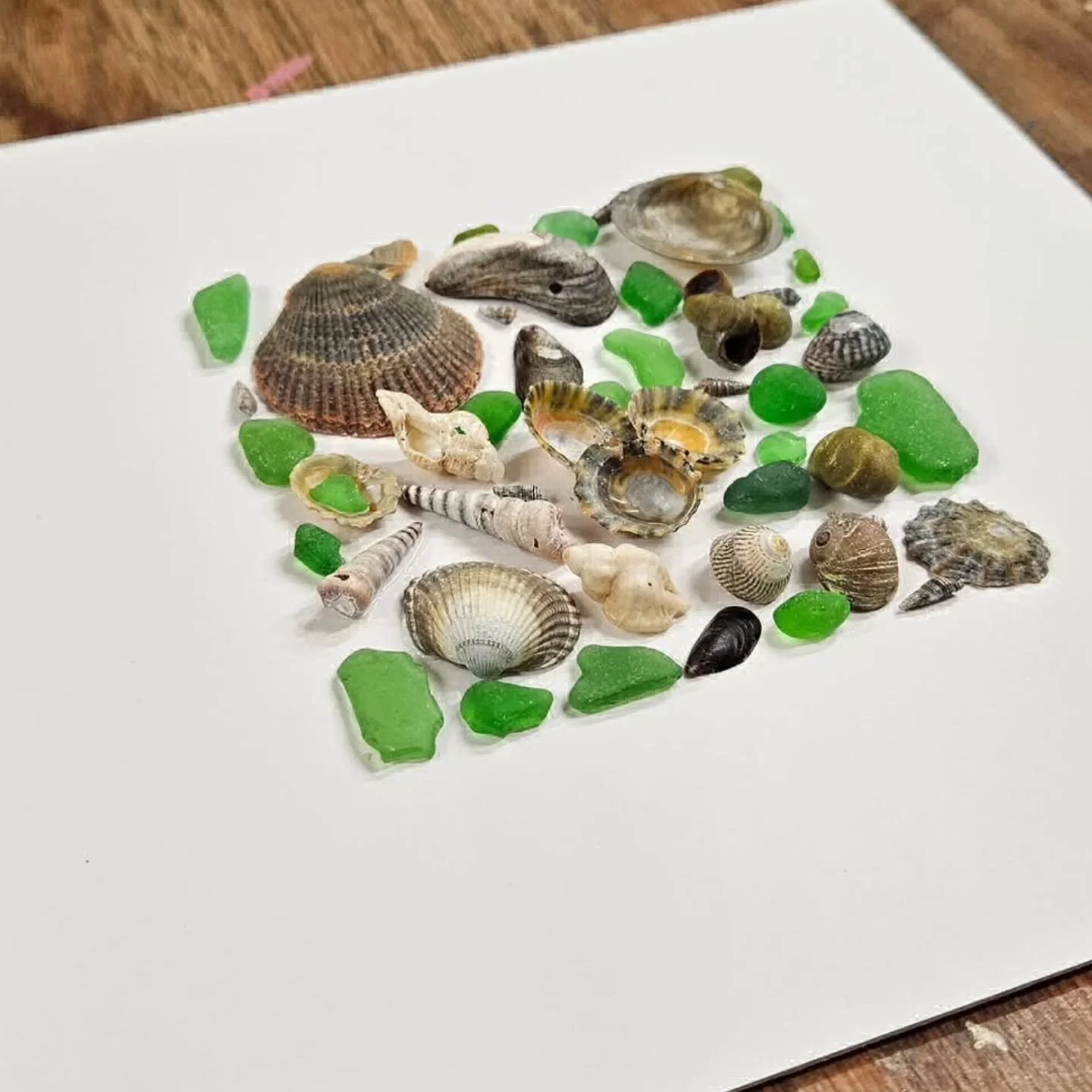 If you're still wondering how to surprise your Mum this Mother's Day or even you just want to escape the rugby...then now's your chance to book @tidalcollections Shell and Sea Glass Framed Art workshop this Saturday 2pm-4.30pm. There's only 3 tickets
