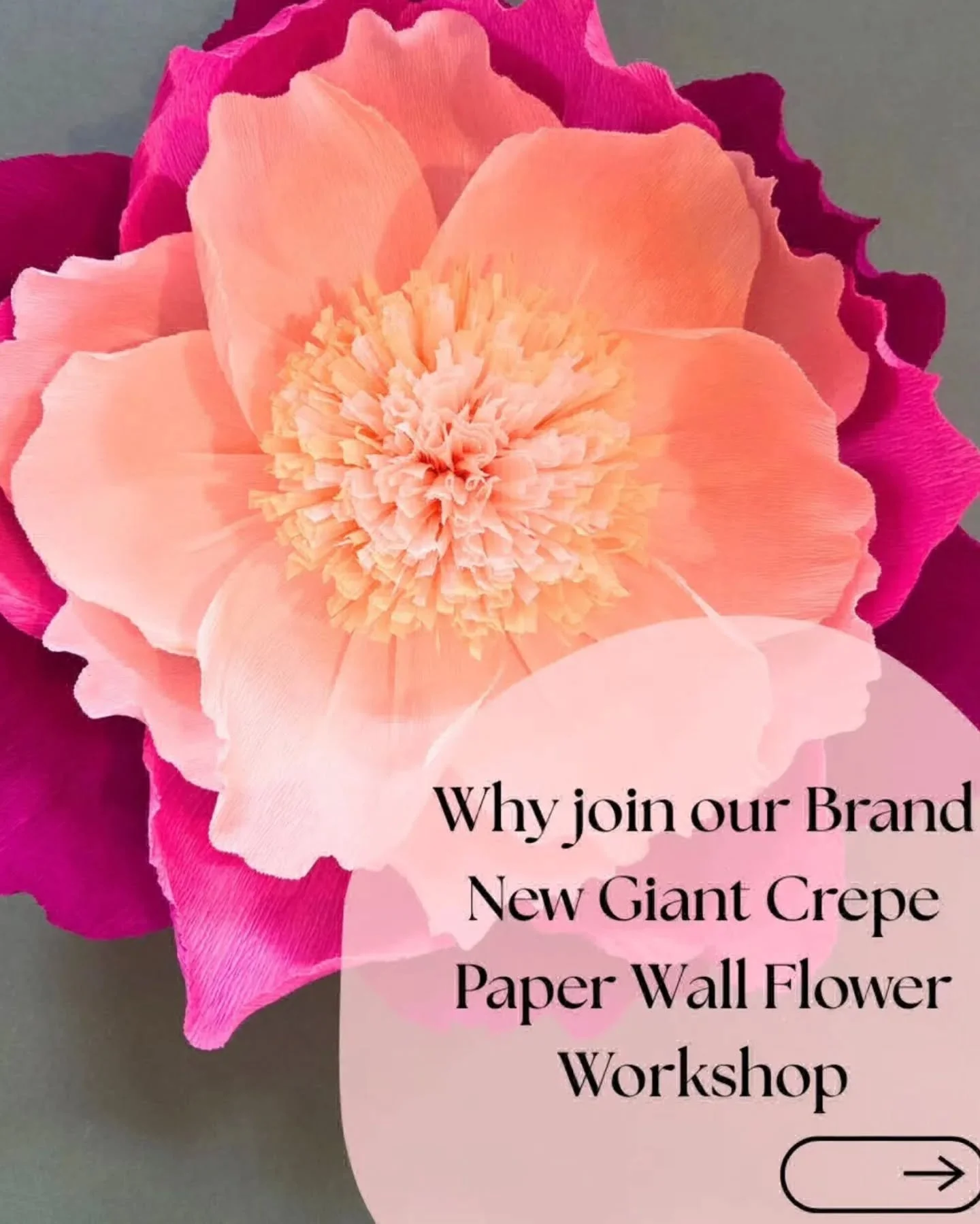 Transform paper into a permanent bloom with Cat of @paperandpetaluk ✨

🌸 ​Precision Shaping: Learn the art of curling and assembling massive petals.

🌼​ Premium Foundation: Every flower is built on a laser-engraved wooden bases (that I make myself)