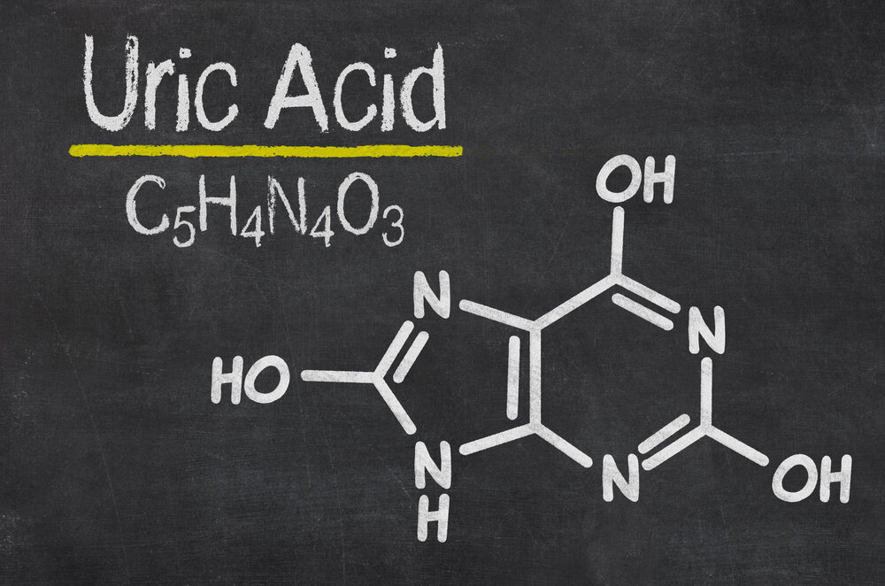 Blackboard with the chemical formula of Uric Acid