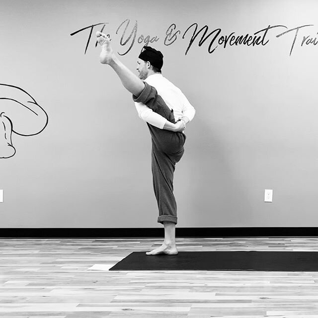 Just added to our Patreon online platform: Slow Flow w/ Bird of Paradise. Link in bio- keep Moving, don&rsquo;t stop, create who you want to be. #birdofparadise #yoga #handstand #armbalance #yogaeverydamnday #movement #move #idoportalmethod