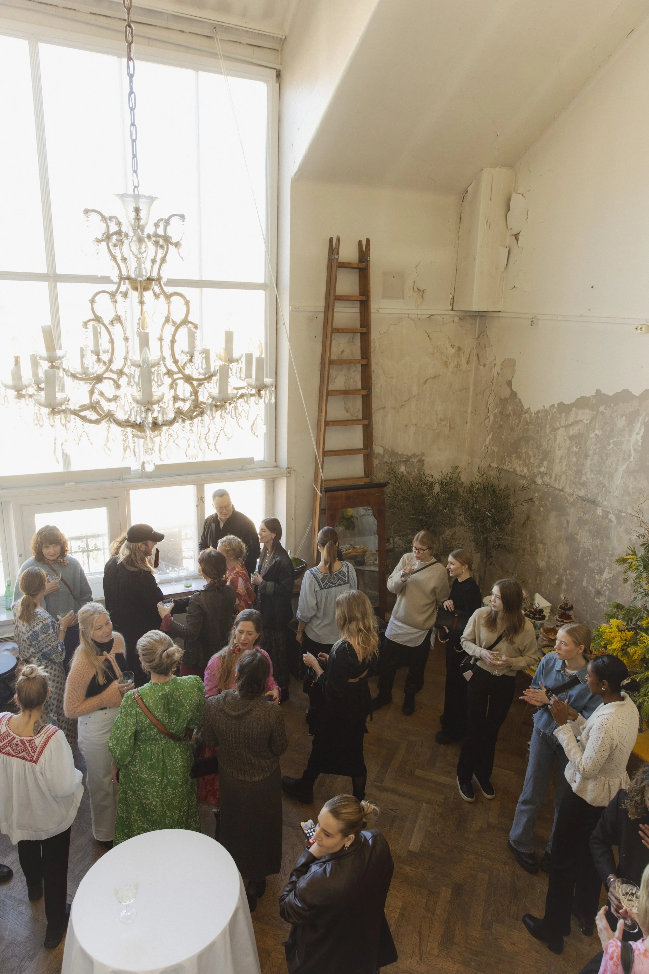 Odd Molly Launching Event