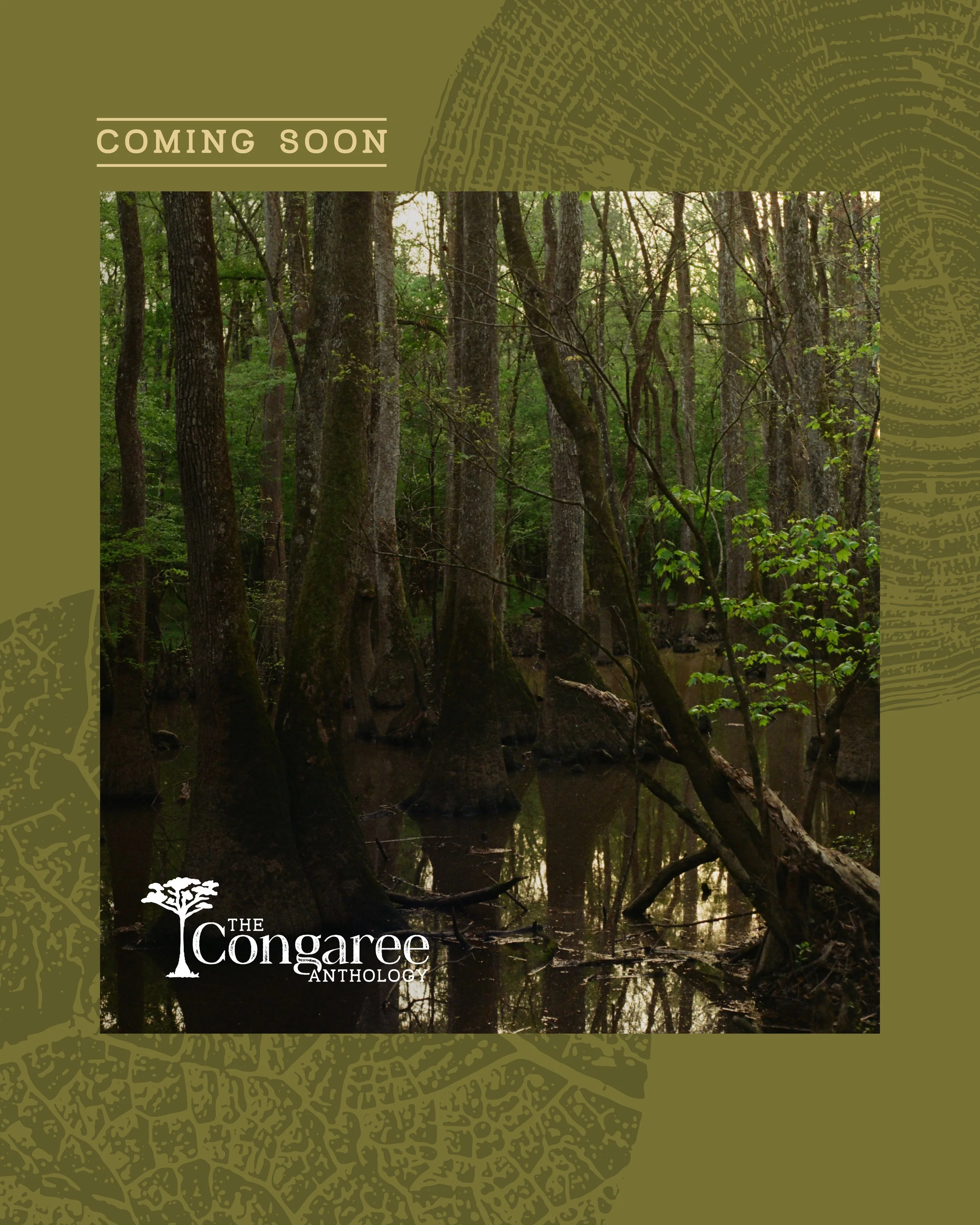 Congaree_SocialGraphic_ComingSoon_.jpg