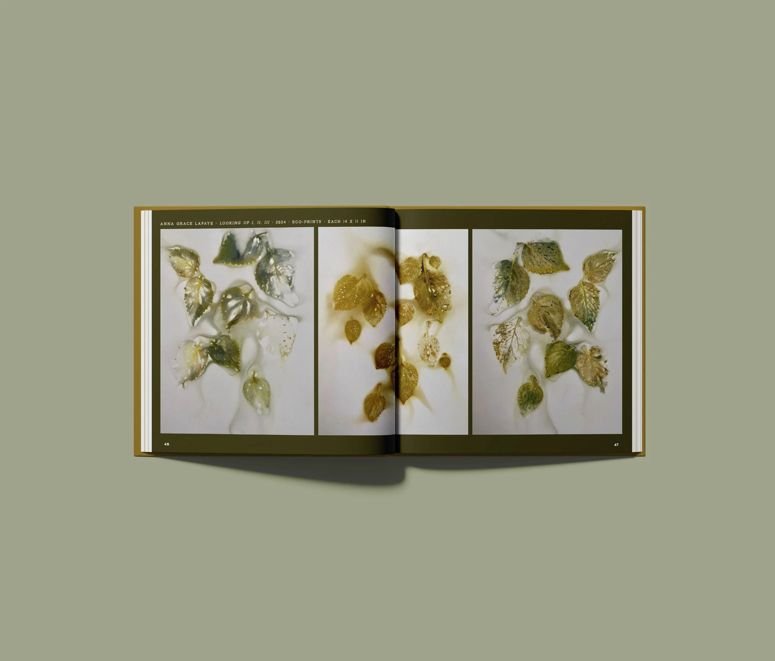 OldGrowthAnthology_Book_InteriorPages_3.jpg