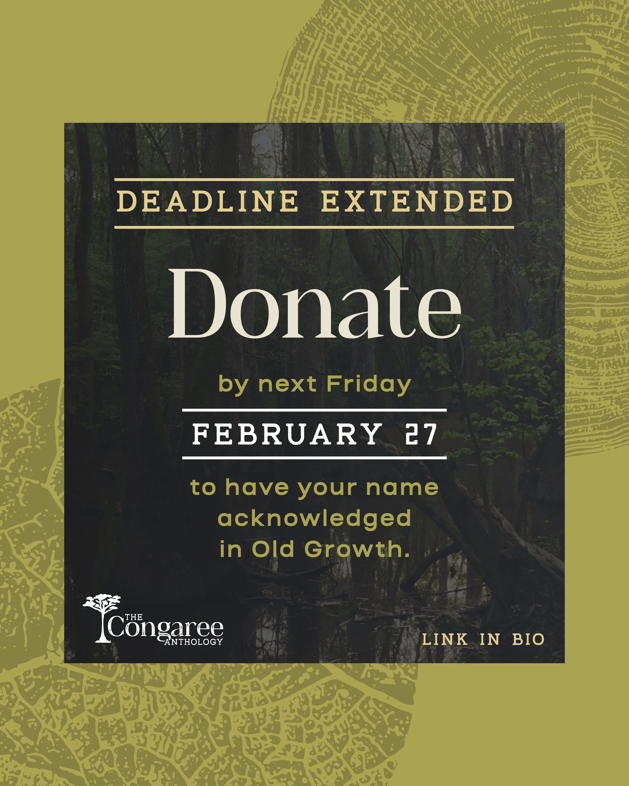CA_Graphic_Social_Deadline_Extended.jpg