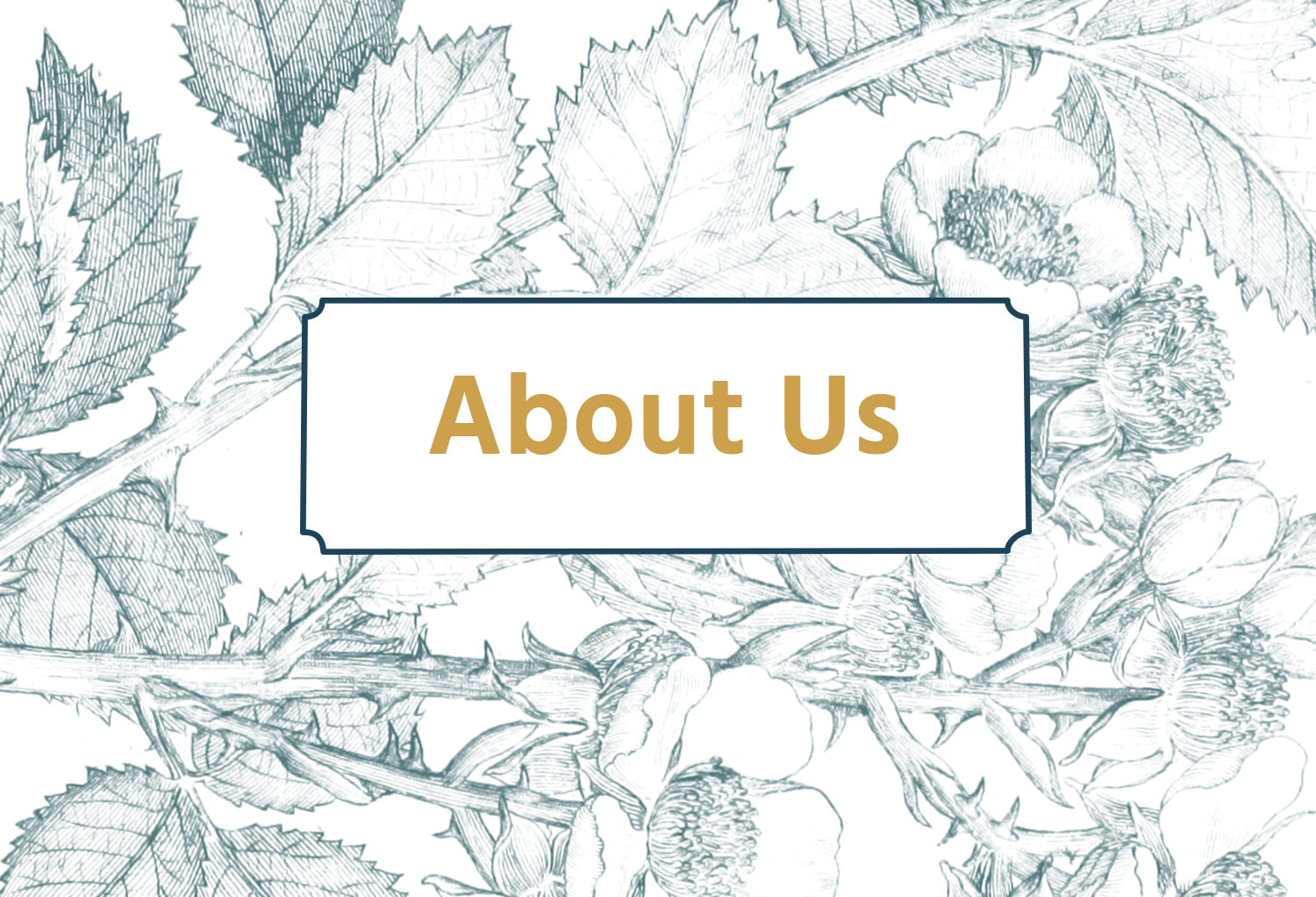 AboutUs_Image_4.png