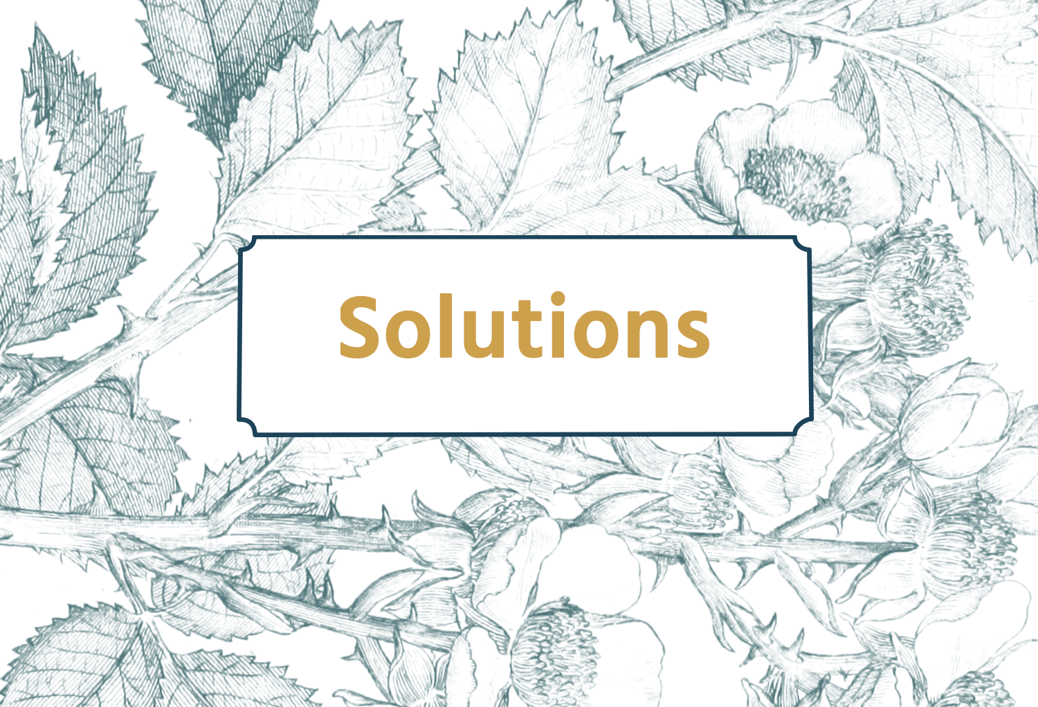 Solutions_Image.png