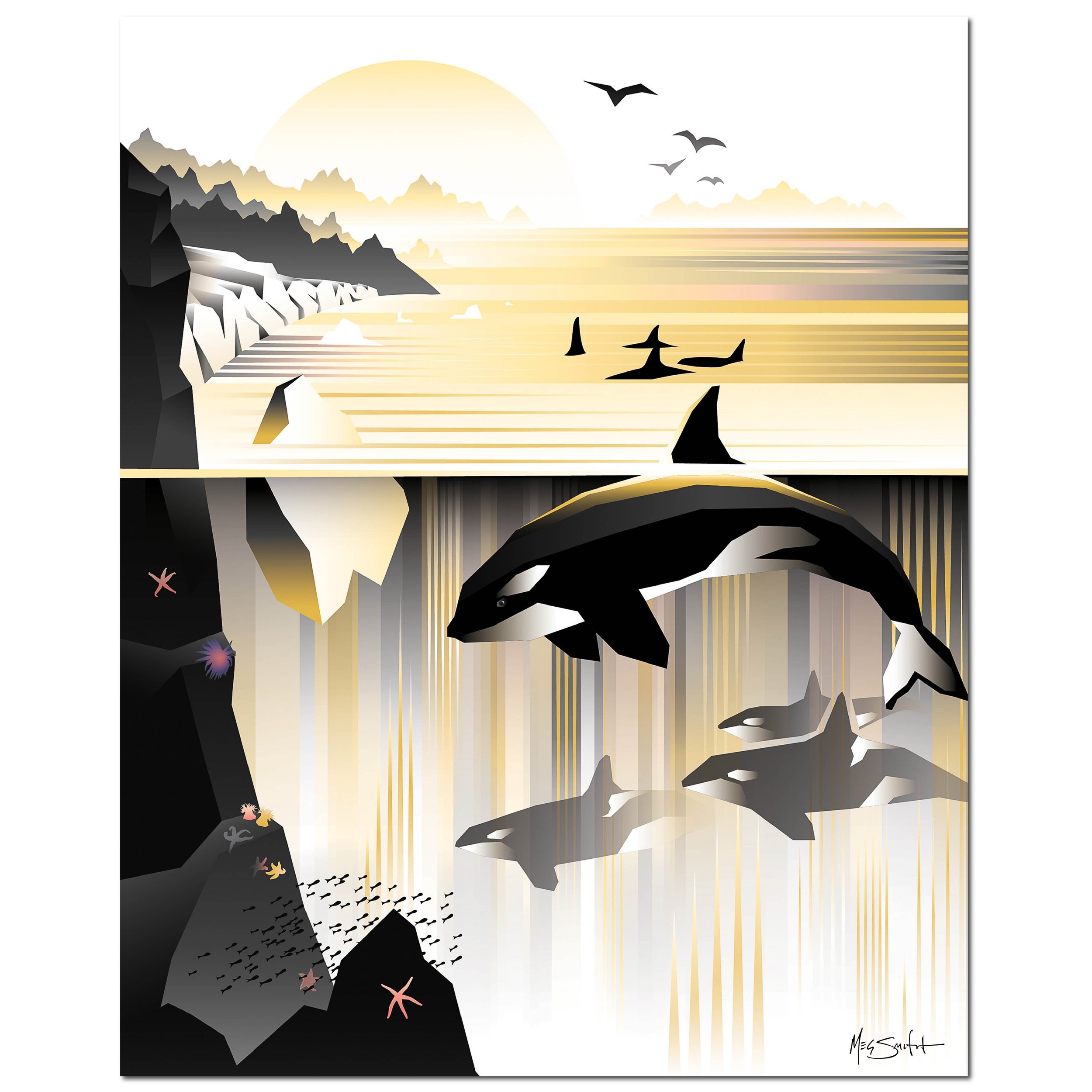 meg_smith_art_orca-02.jpg