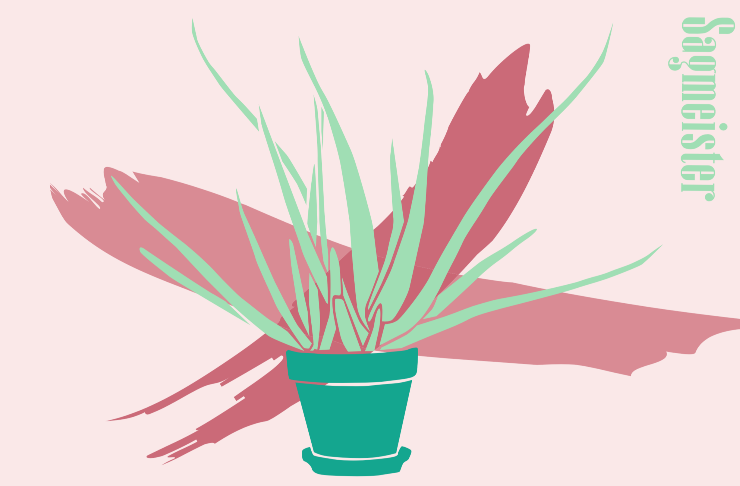 Screen Shot 2019-07-10 at 3.29.24 PM.png