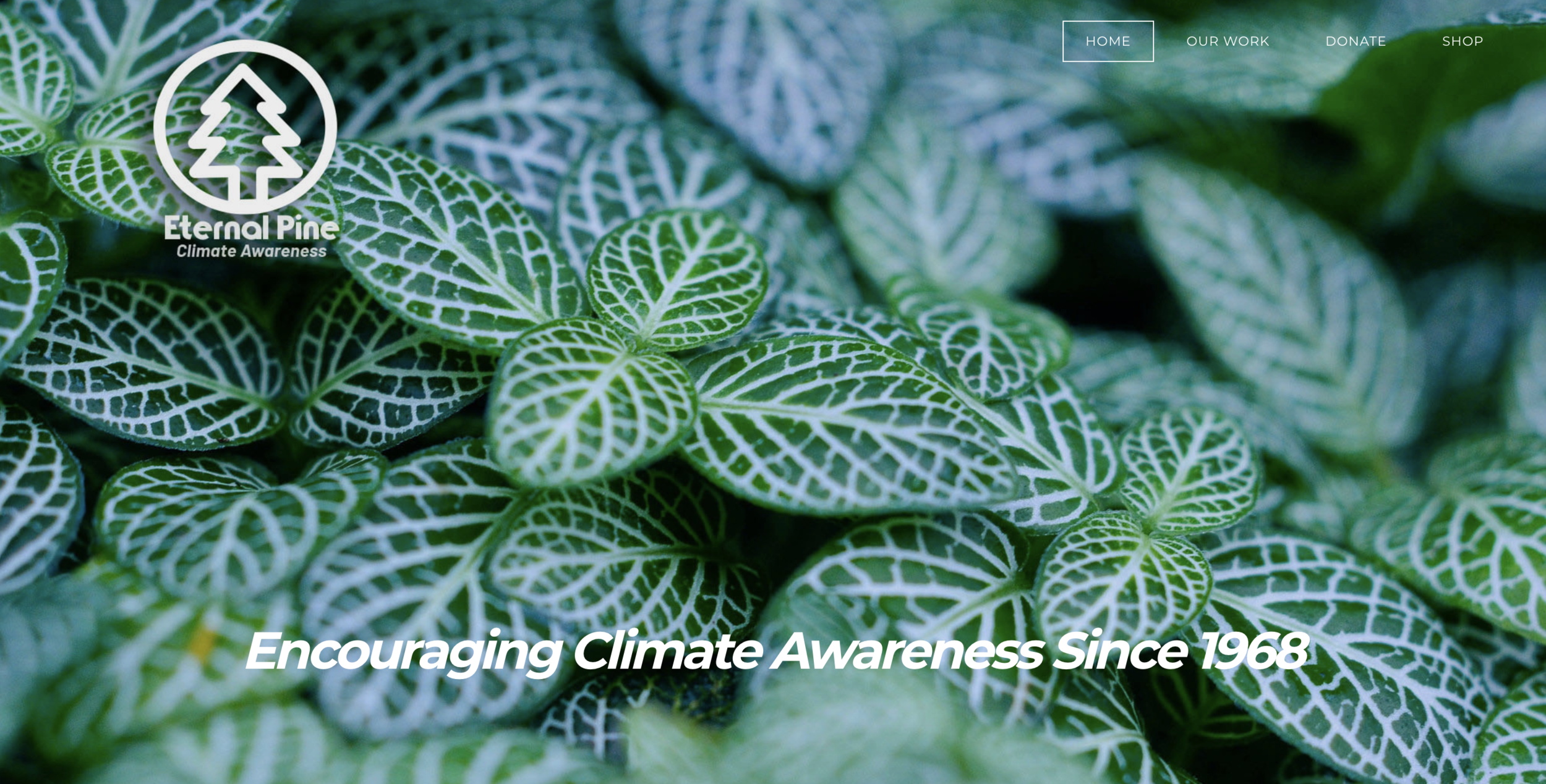 Screen Shot 2019-12-10 at 2.37.17 PM.png