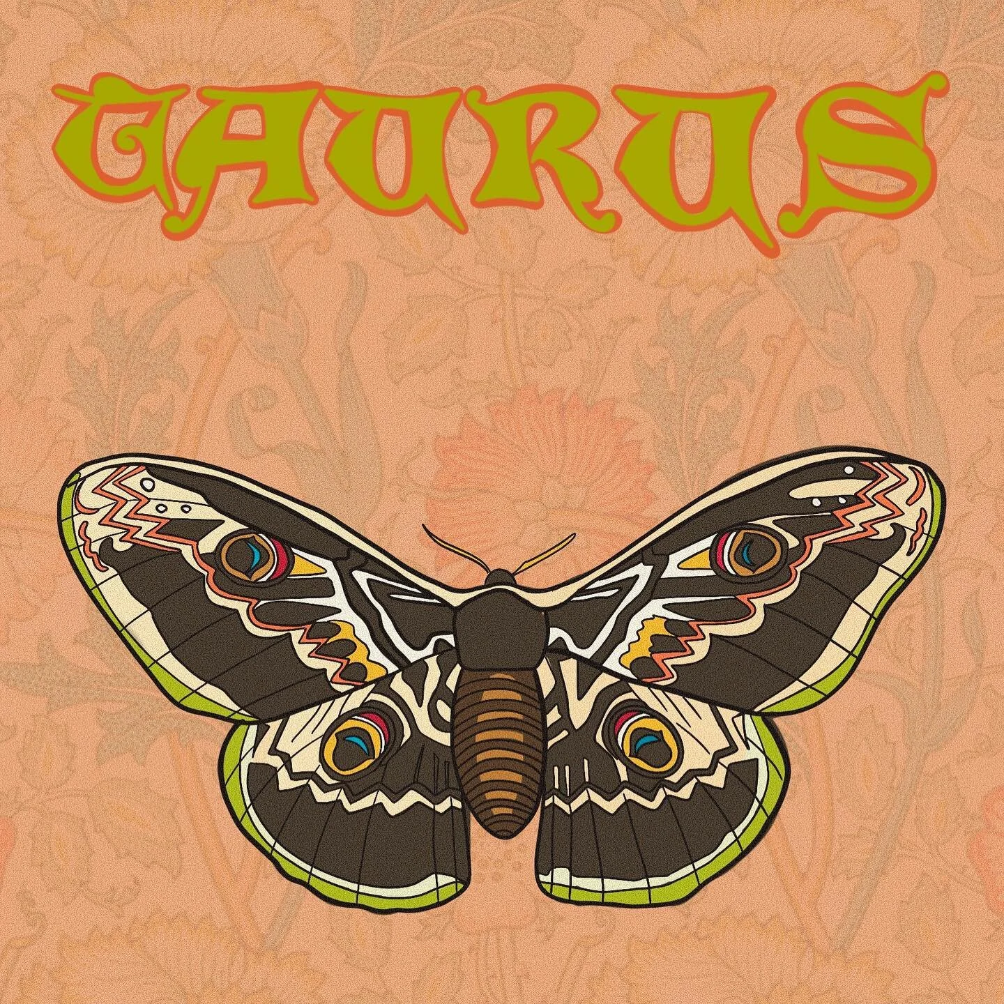 The signs as butterflies and moths | Taurus • the stubborn & steadfast