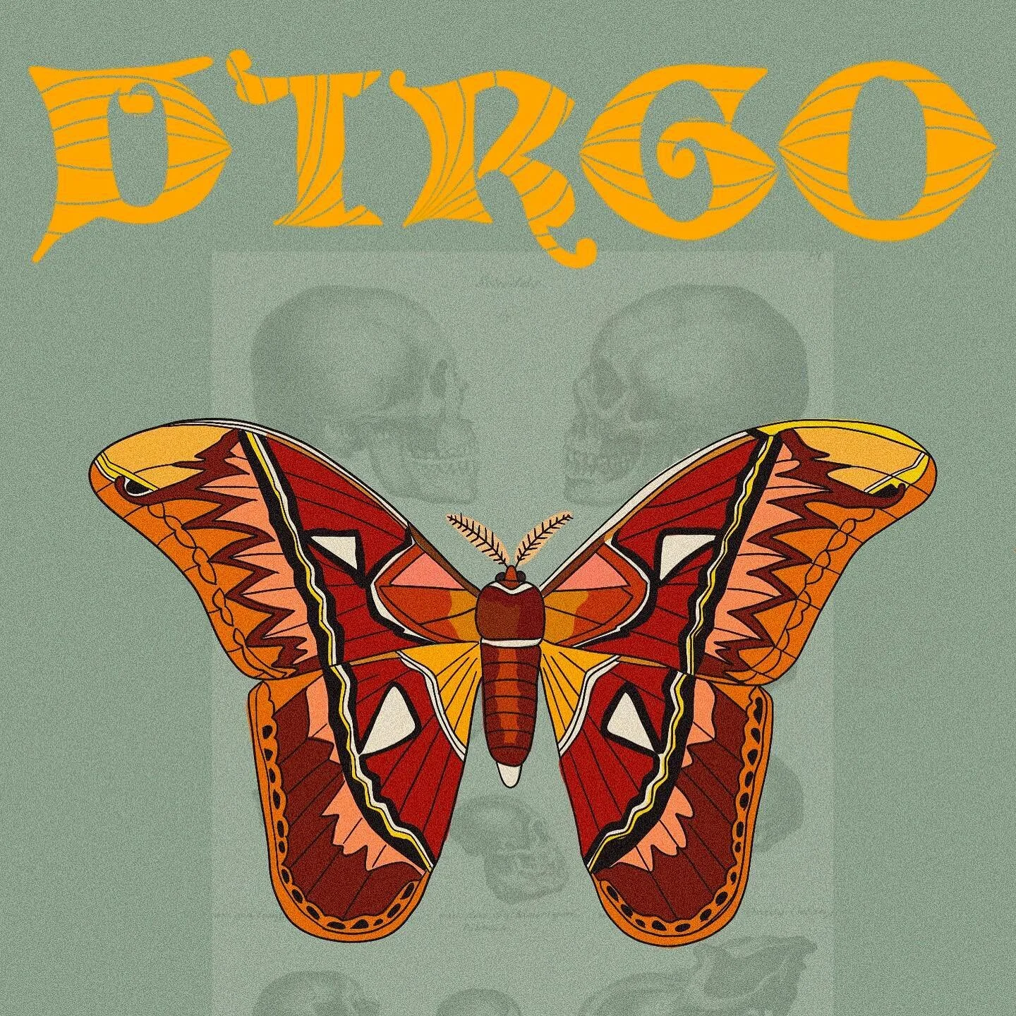 The signs as butterflies and moths | Virgo • the intellectual perfectionist