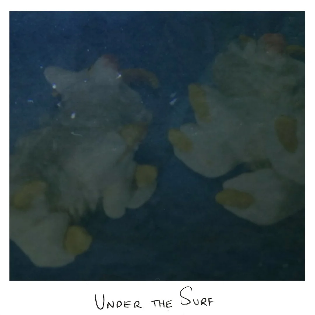 Under the Surf.jpg