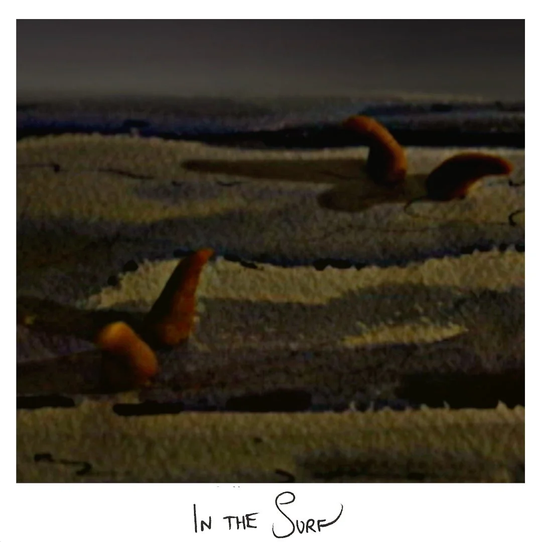In The Surf.jpg