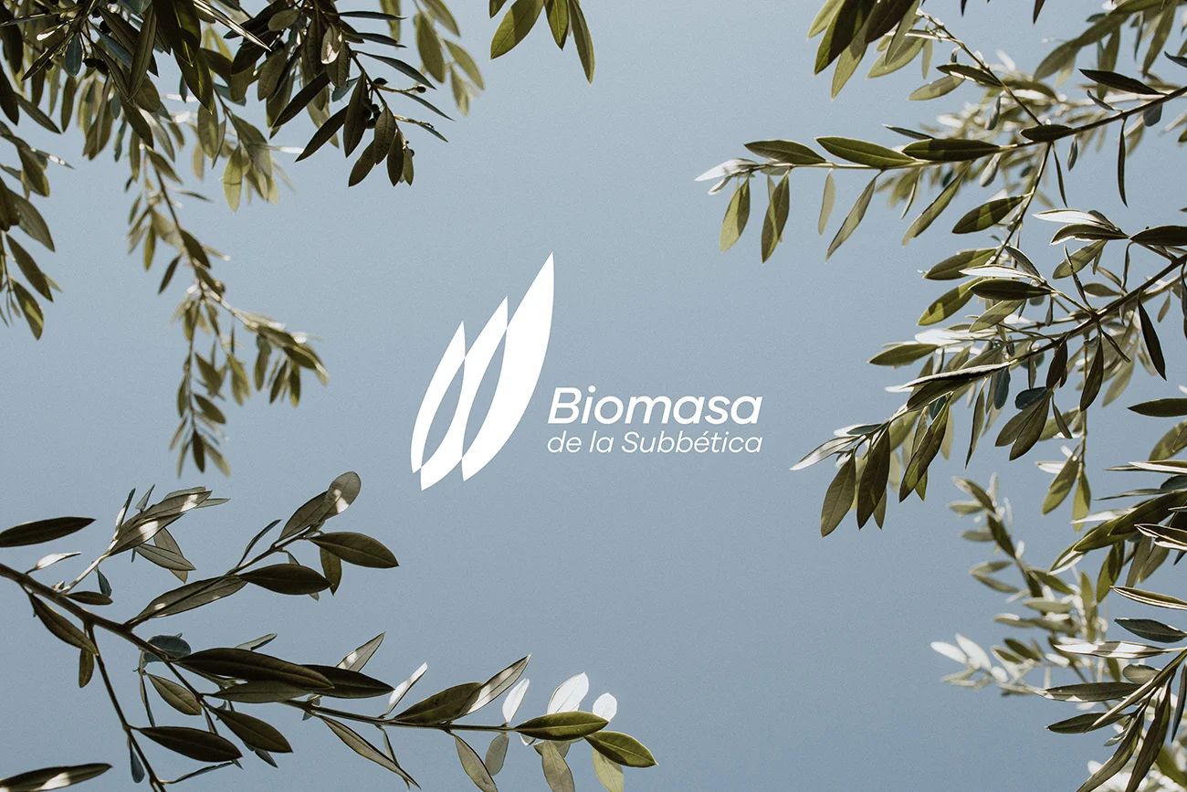 Biomasa de la Subbética es una empresa especializada en el aprovechamiento de los restos de poda del olivar y astilla del tronco del olivo. Se trata de una fuente de energía de origen renovable que convierte los residuos en recursos. Para el rediseño de marca nos hemos inspirado en dos conceptos que resumen su actividad: Las hojas de olivo representan su principal materia prima, y la llama de fuego resultante de la superposición de estas tres simboliza el proceso de combustión de la astilla. Para completar el branding hemos realizado una sesión fotográfica tanto en el olivar como en sus instalaciones. www.biomasadelasubbetica.es 