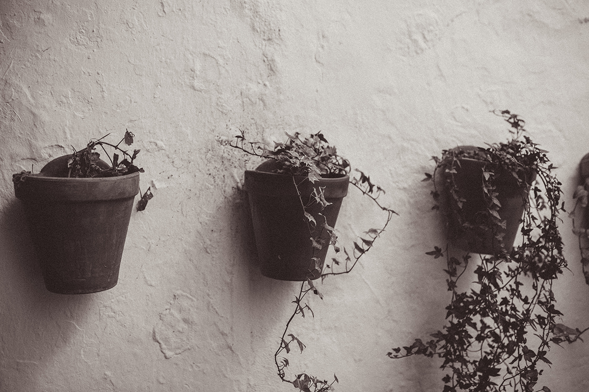 vejer-sepia-4.jpg