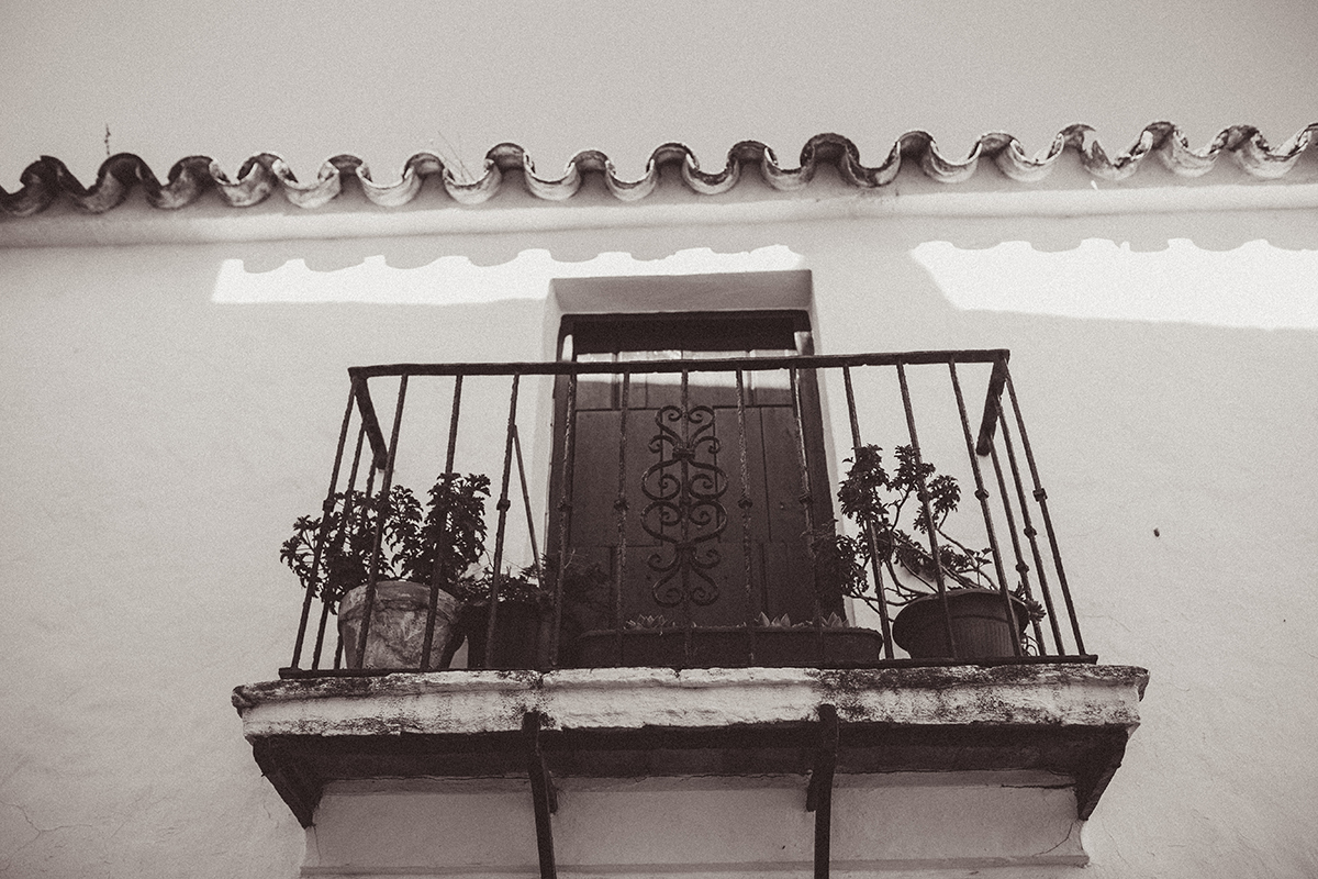 vejer-sepia-11.jpg