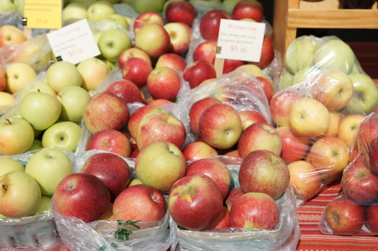 Locally grown apples at Bloomington, Indiana Farmers’ Market, Fall 2017.