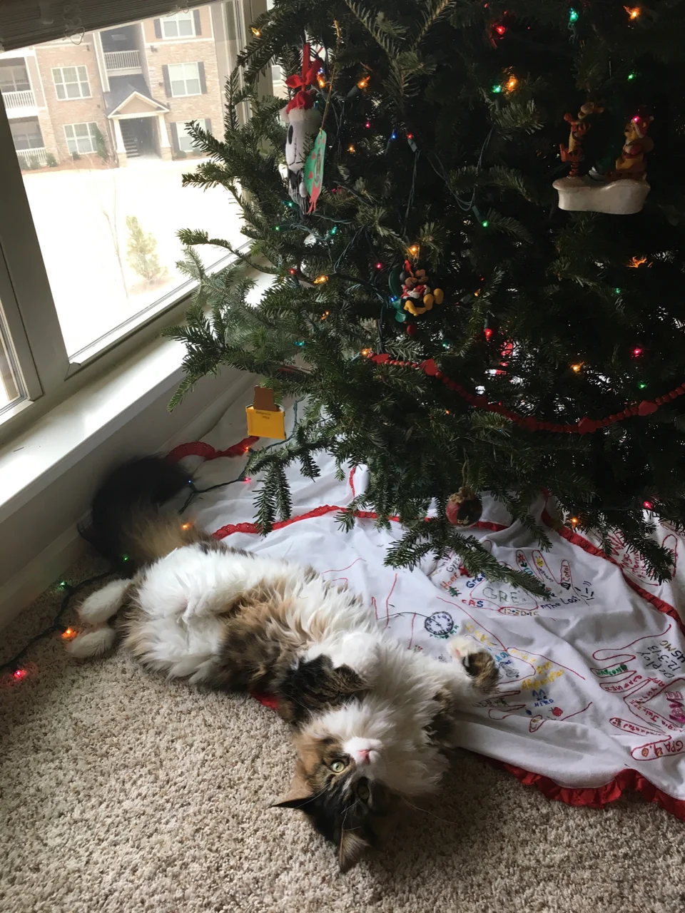 Black Friday makes us all a little crazy. (Nugget, Christmas 2016.)