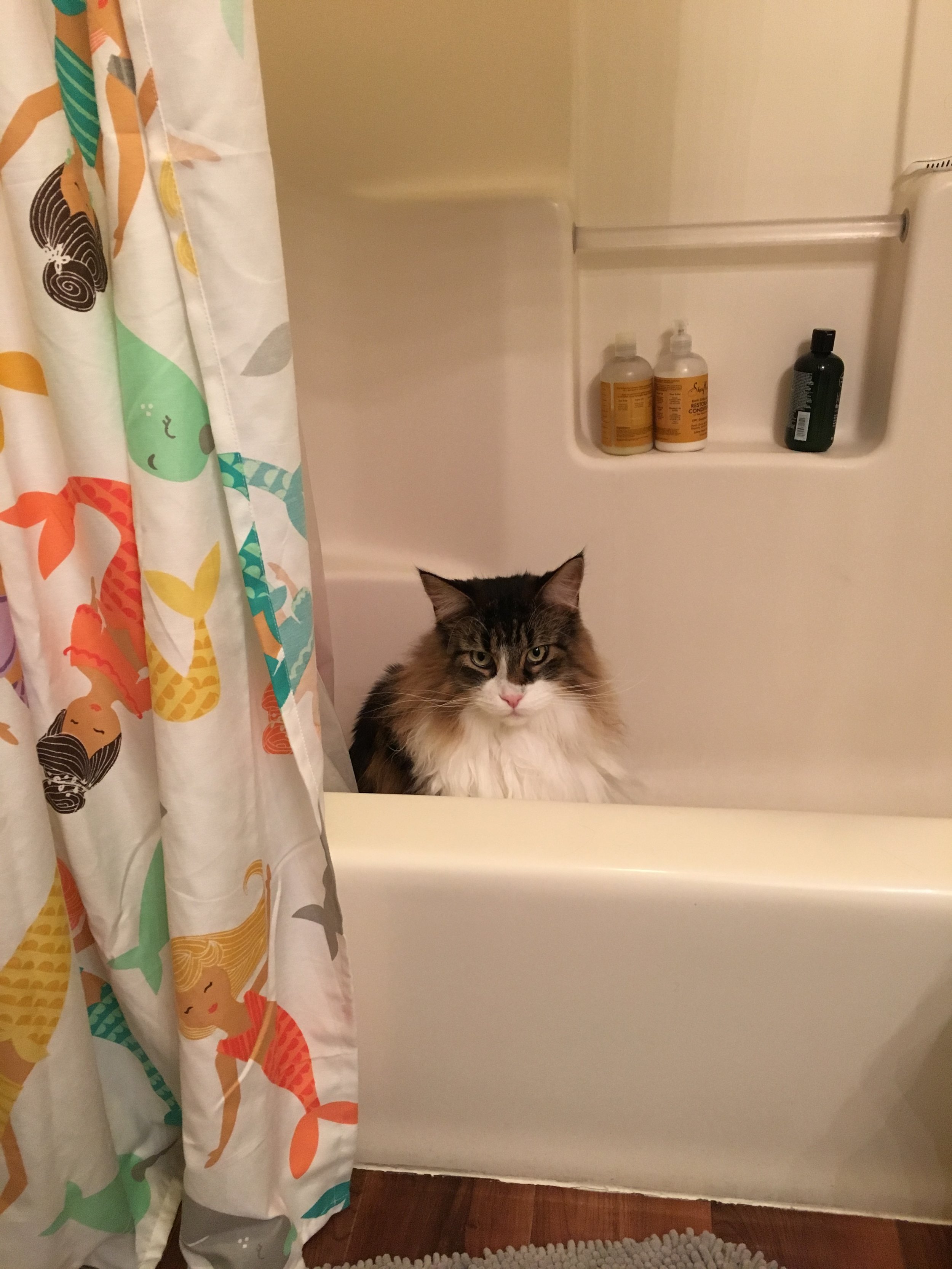 Hiro being a tub gremlin.