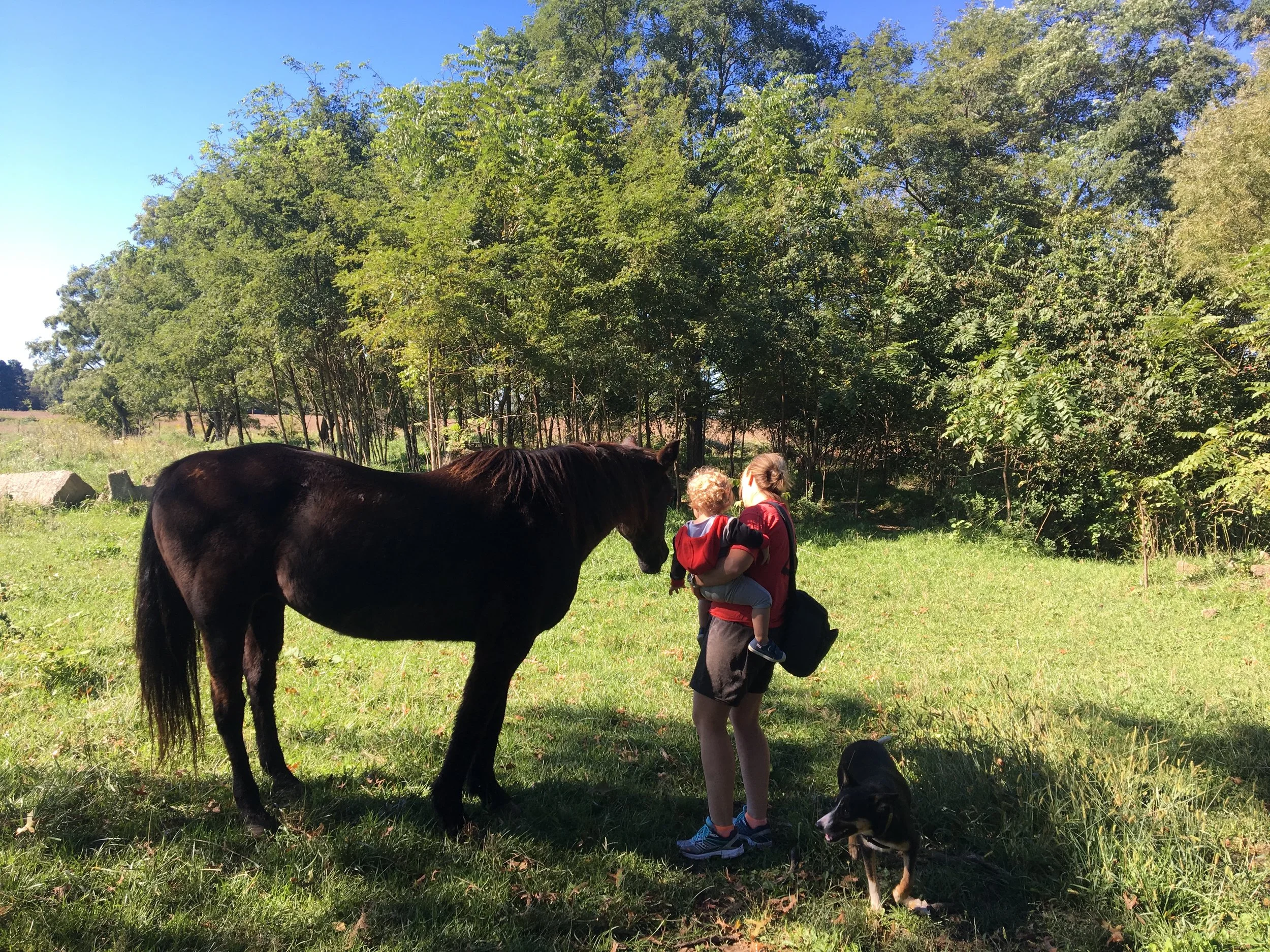 Meeting my horse, Hannah, for the first time at Nana and Pop Pop’s farm.