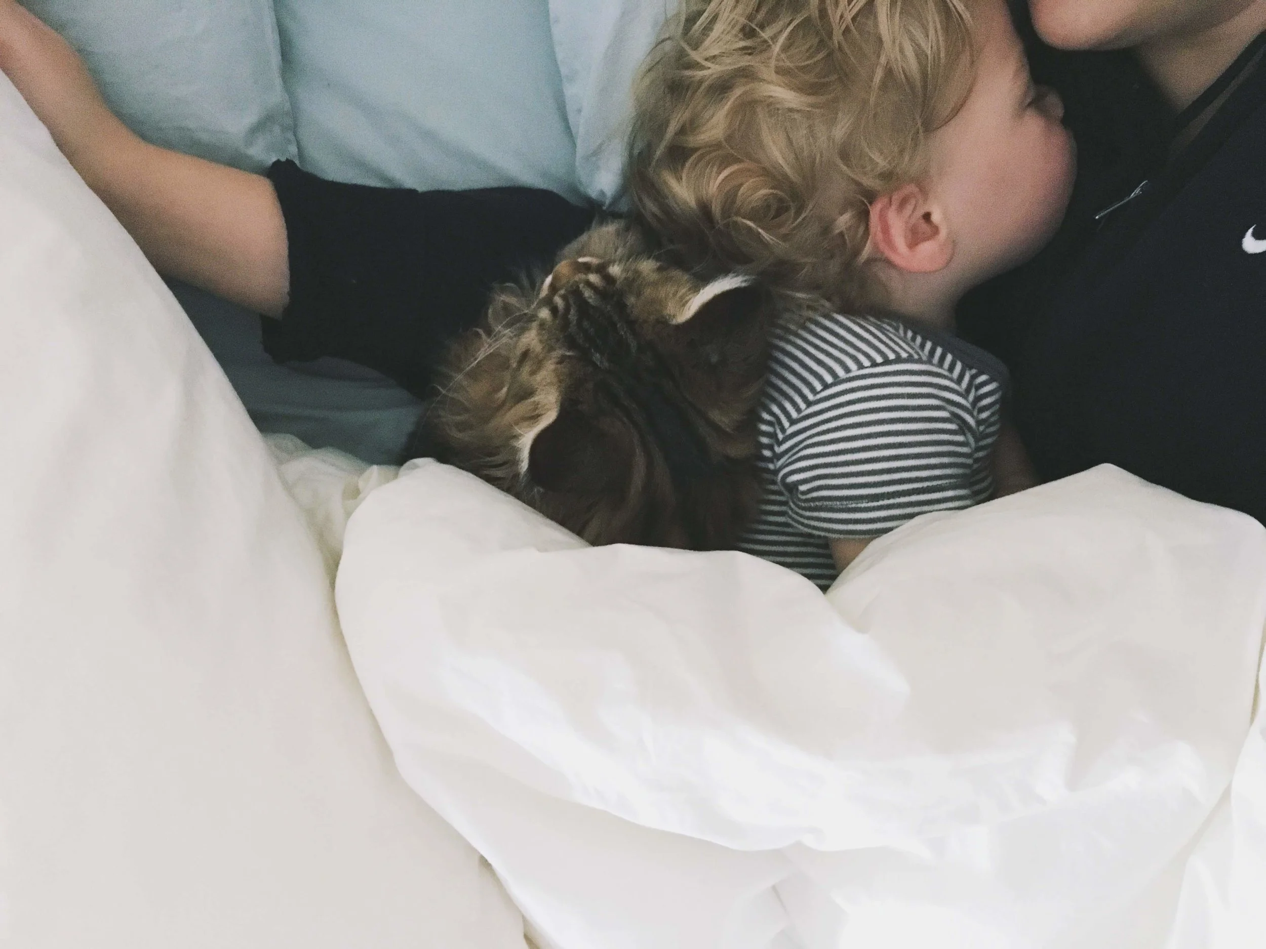Nap time with my babies.