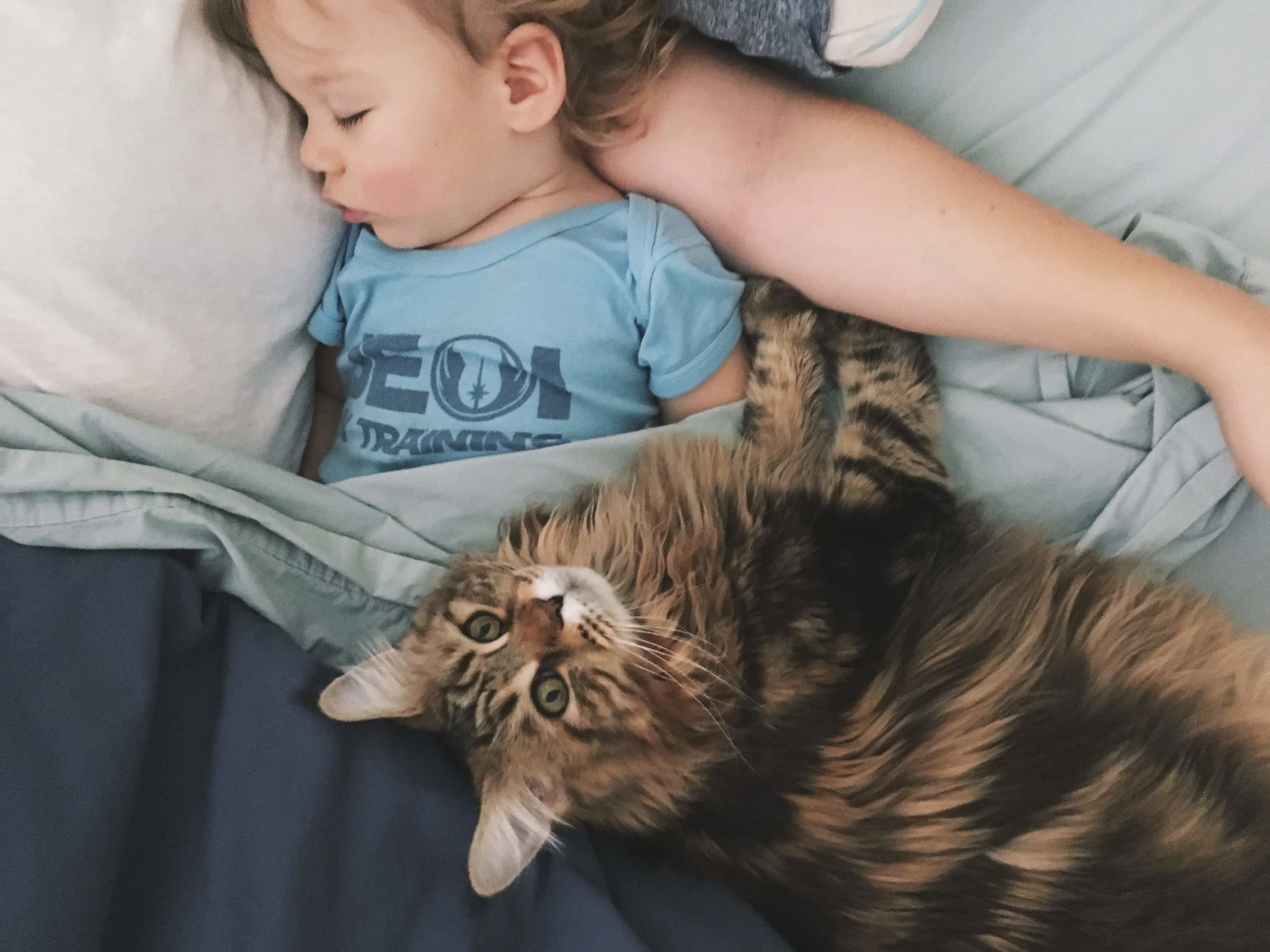 Nap time is one of my favorite times.