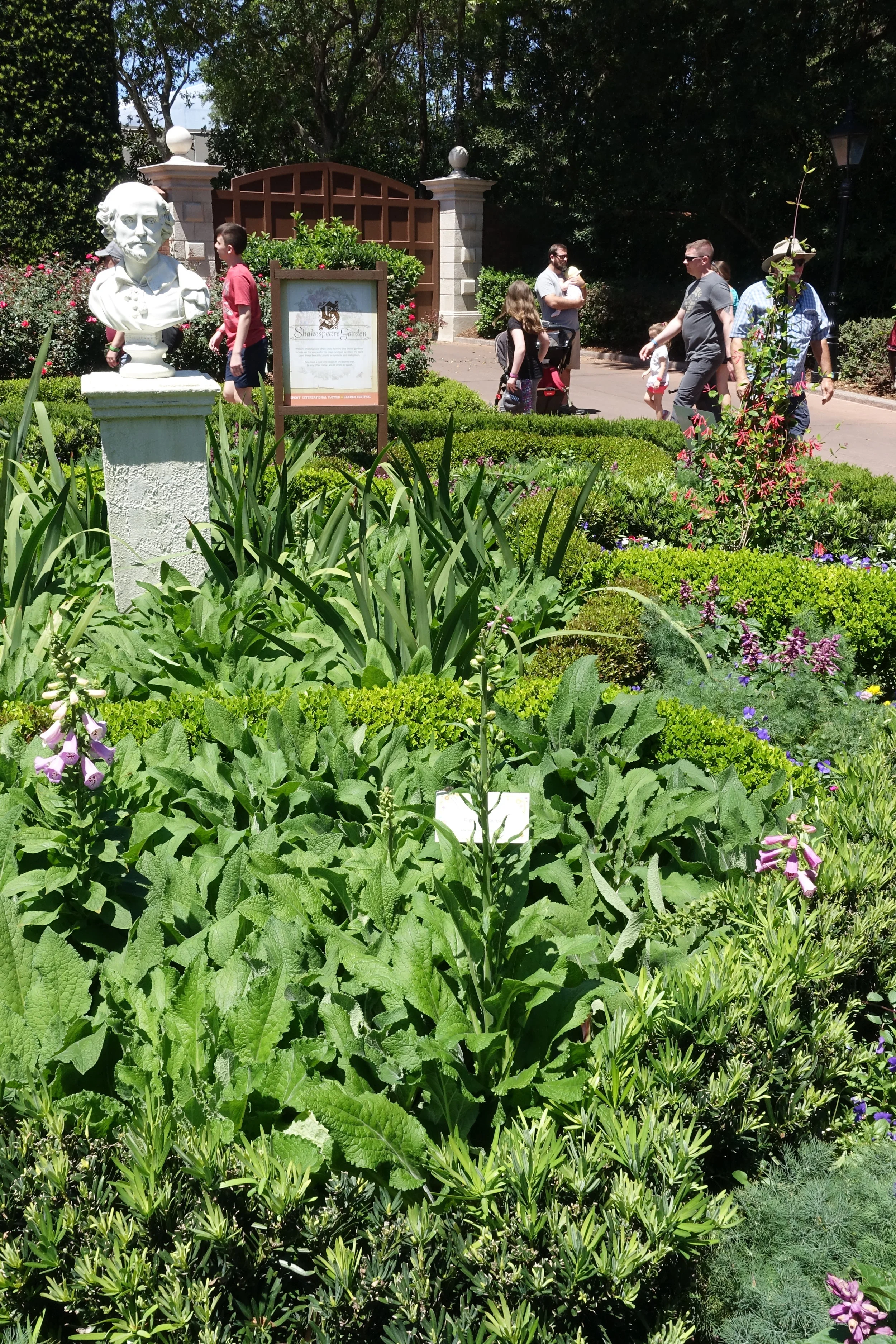 Shakespeare's garden in the England pavilion. It includes plants mentioned in his plays and sonnets with the lines displayed on placards.