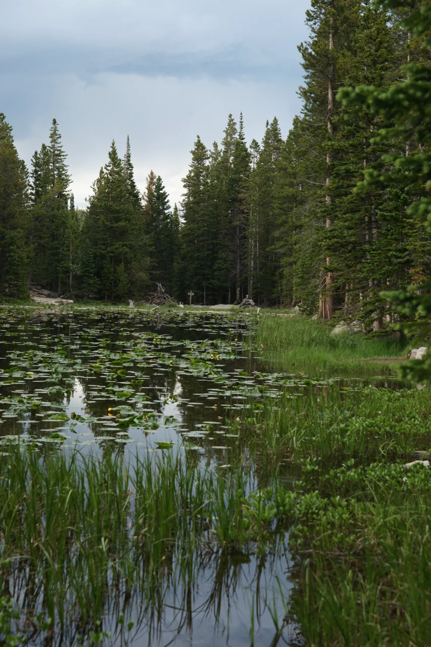 Nymph Lake in Rocky Mountain National Park, Estes Park, Colorado.