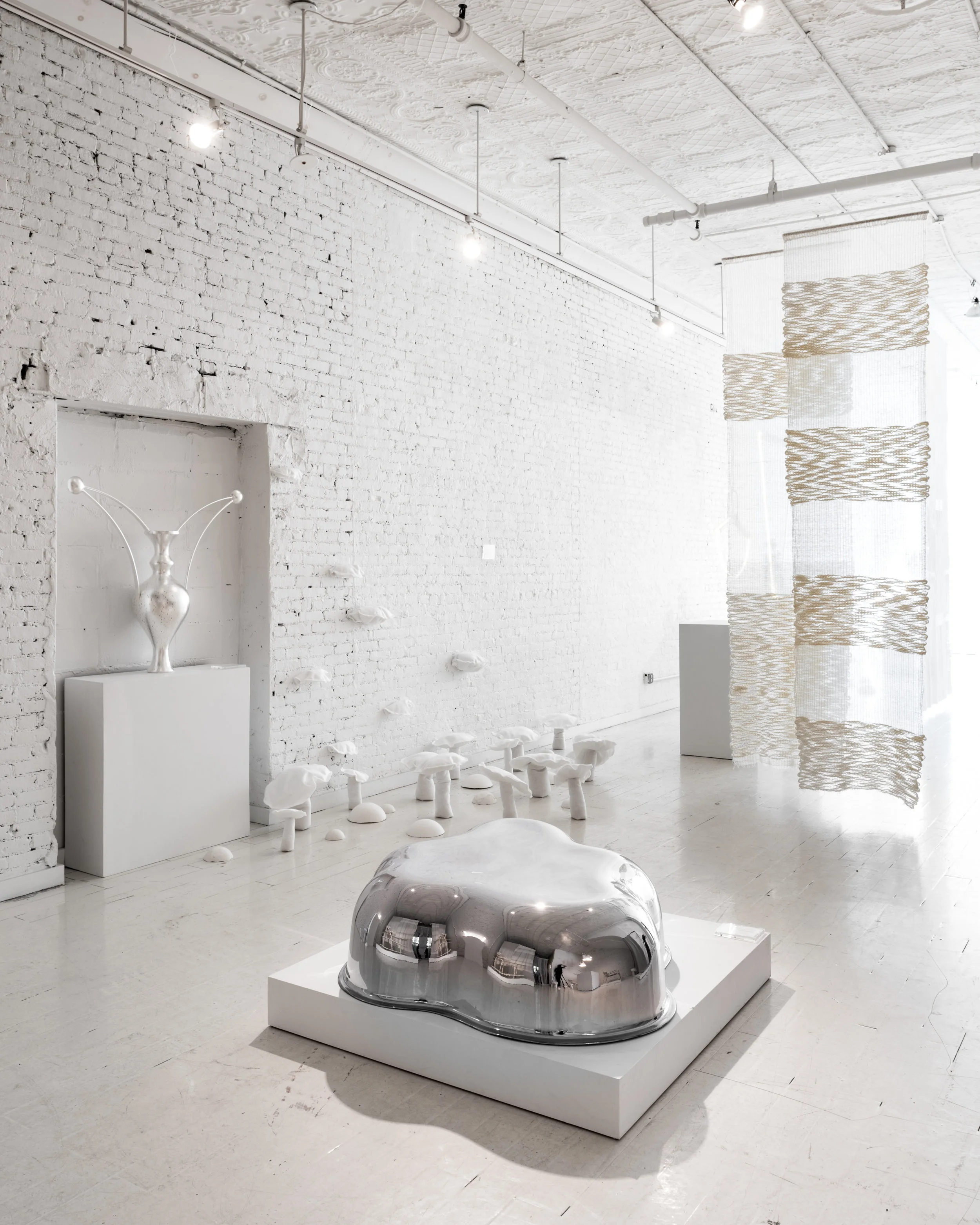 Colony_Lightness_edit-5469-Alan Tansey copy.jpg