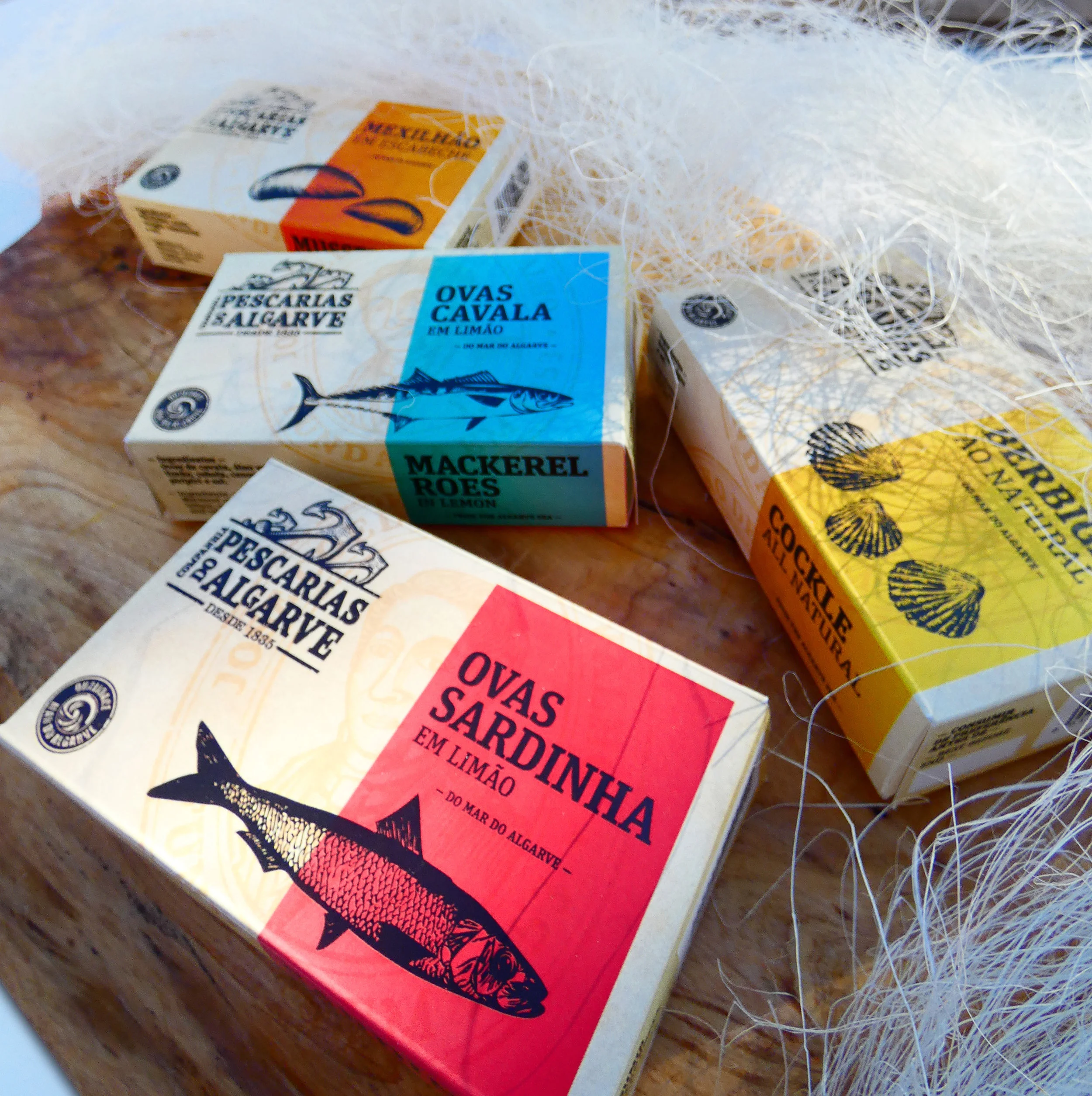 P1000950_v4 copy.jpg