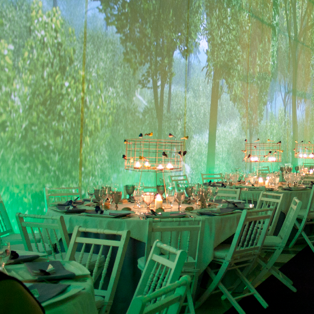 Sq _Trajenta_capa.png