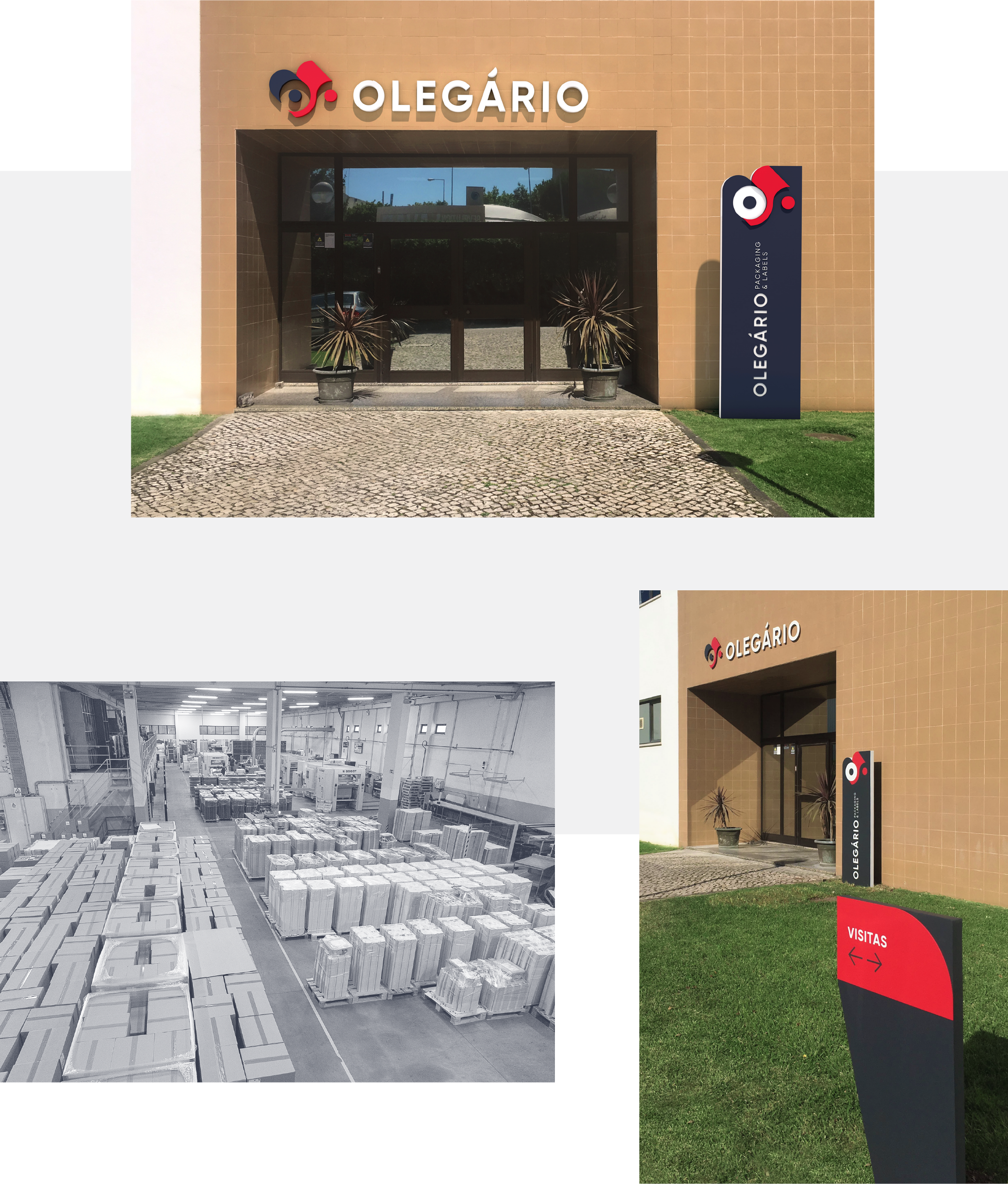 sq_olegario_11.png
